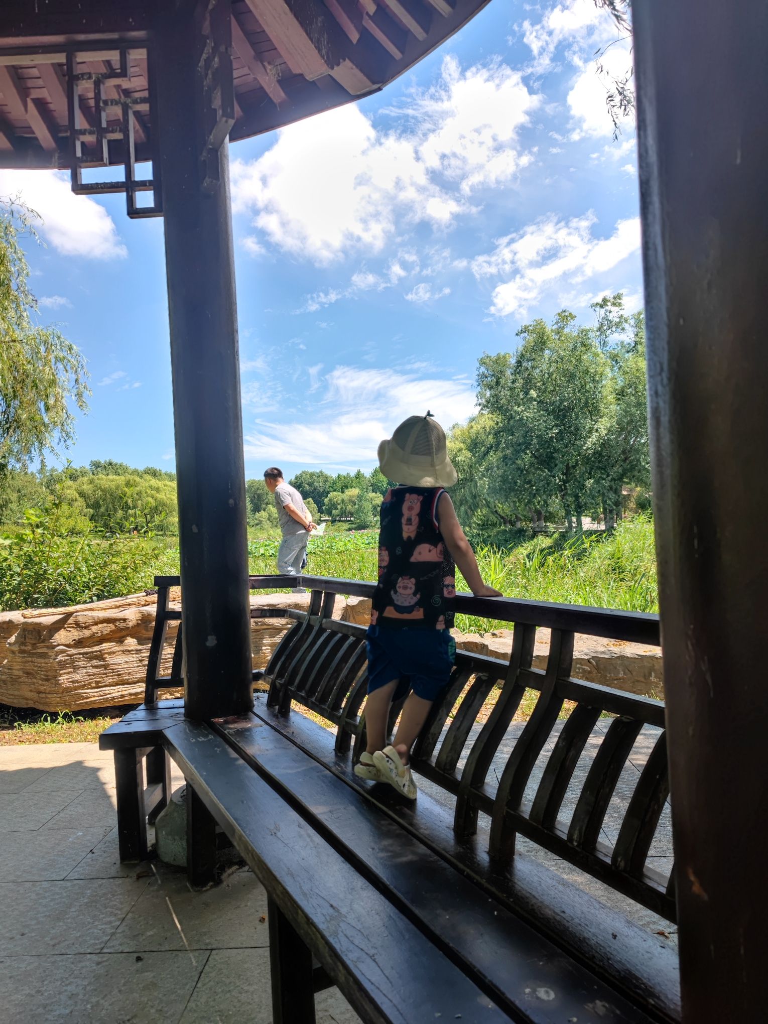 烟台植物园旅行图片 2