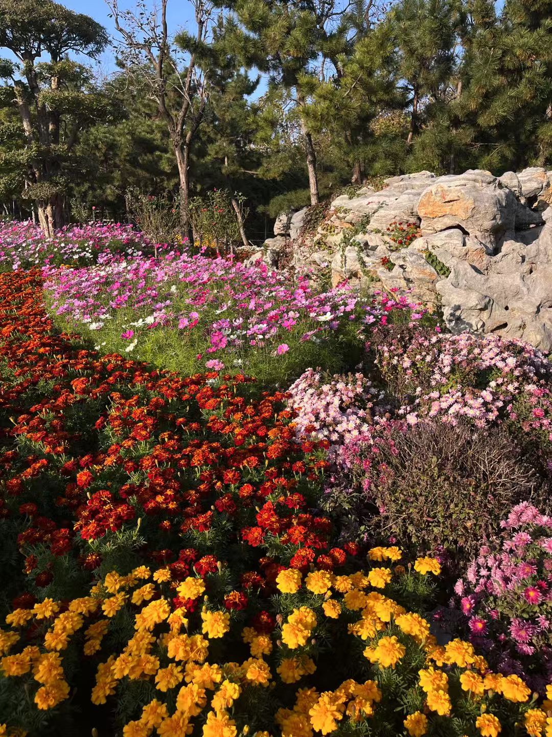 烟台植物园旅行图片 3