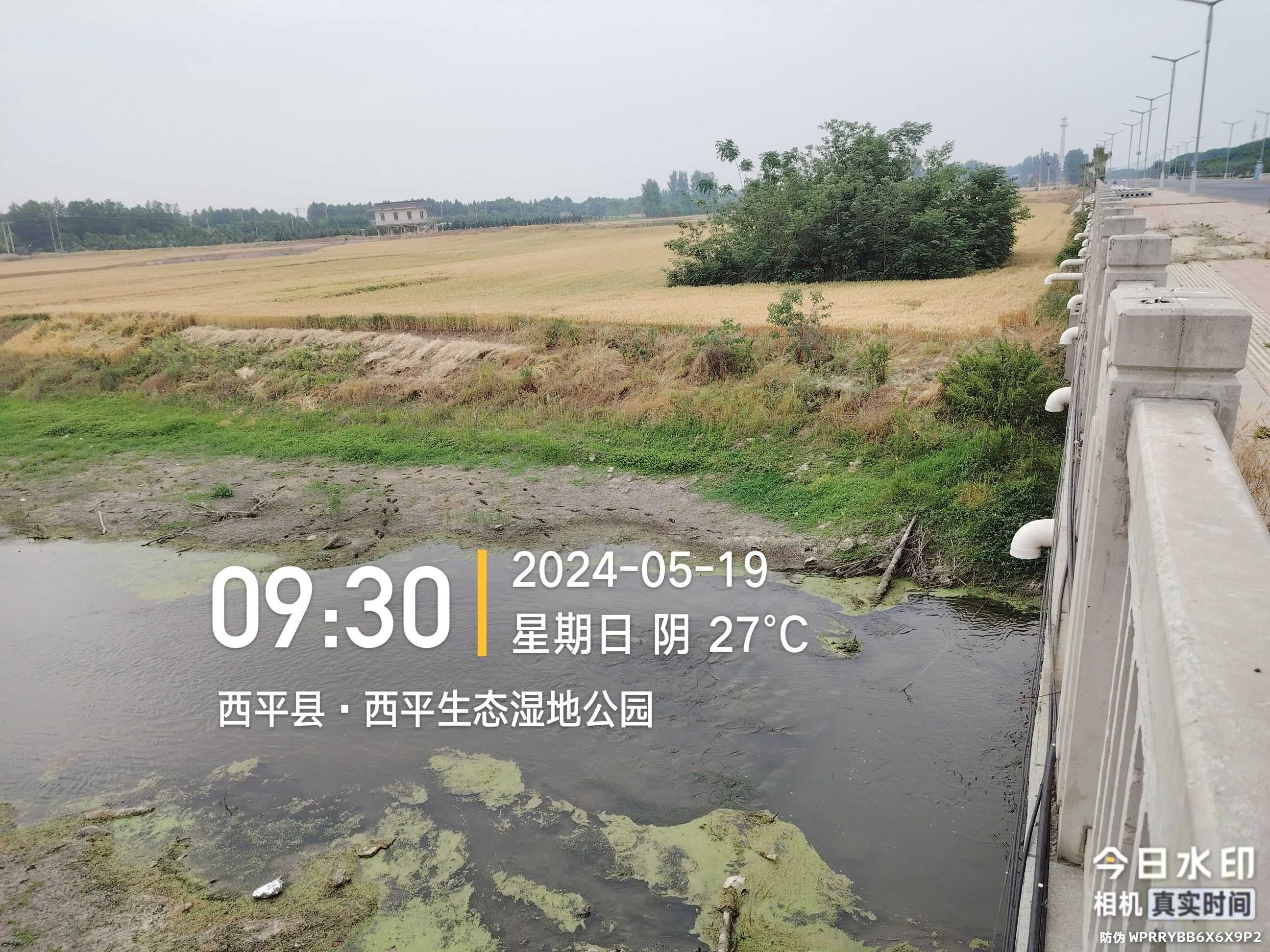 罗成坟旅行图片 1