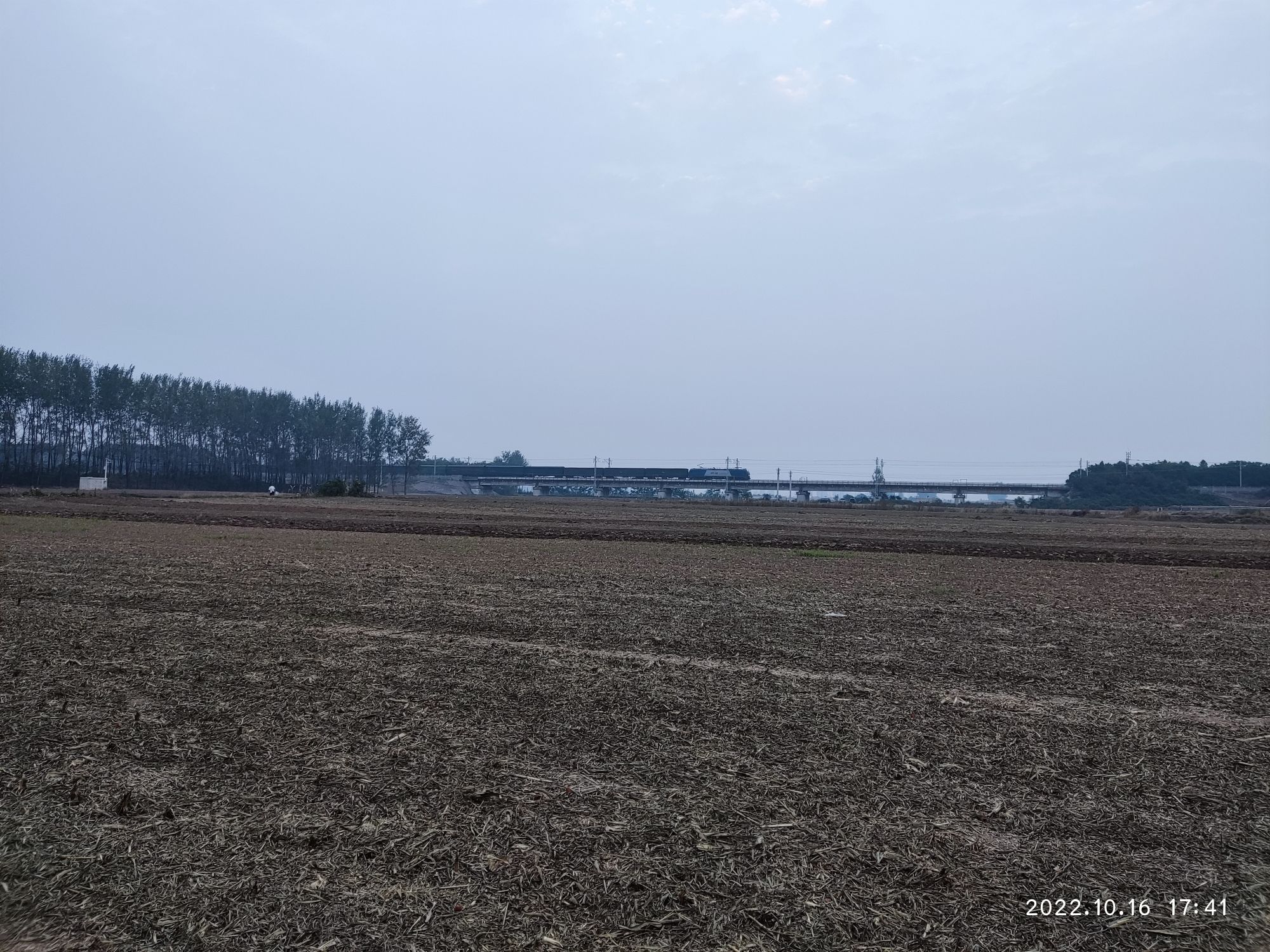 罗成坟旅行图片 3