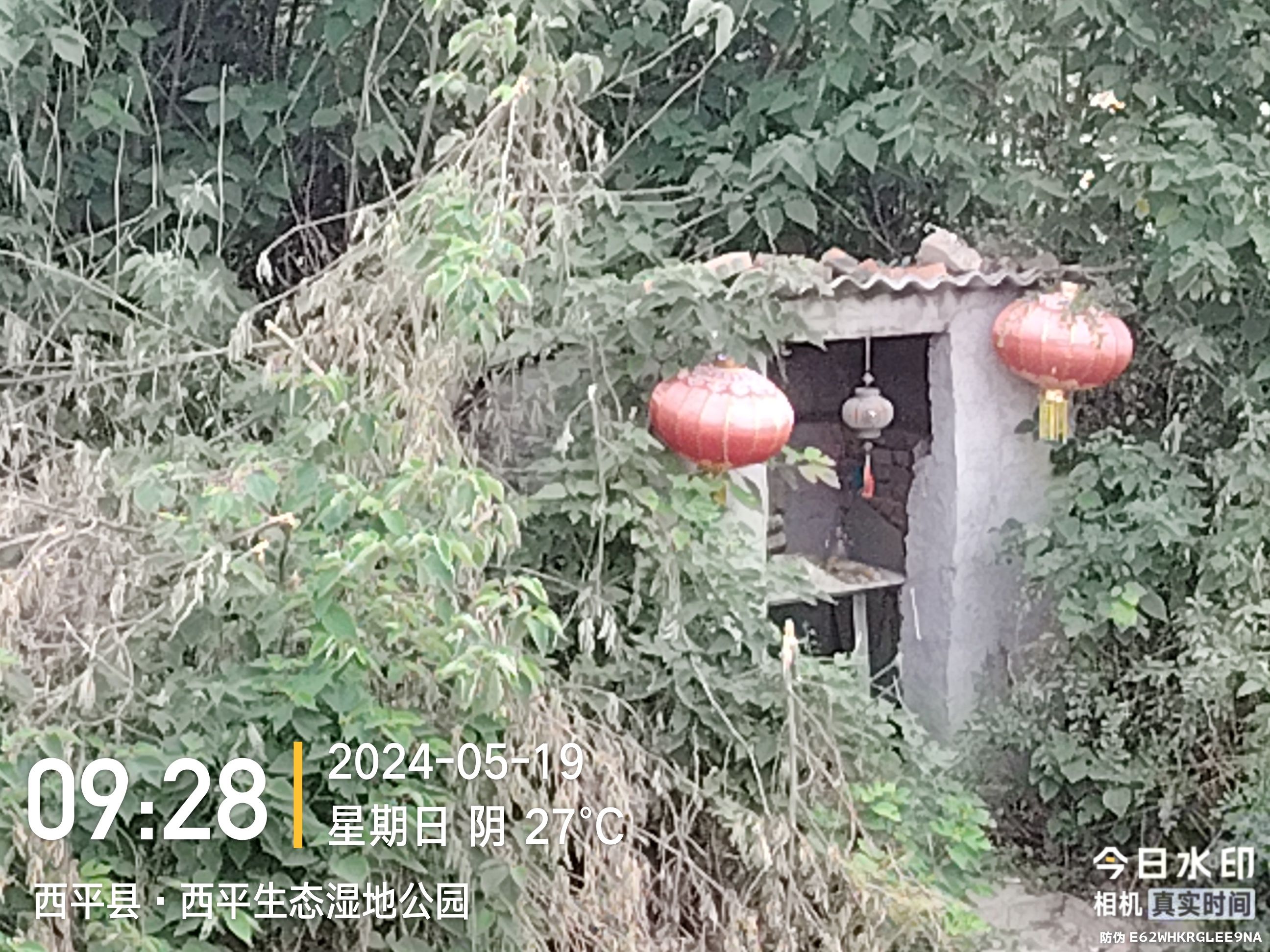 罗成坟旅行图片 3