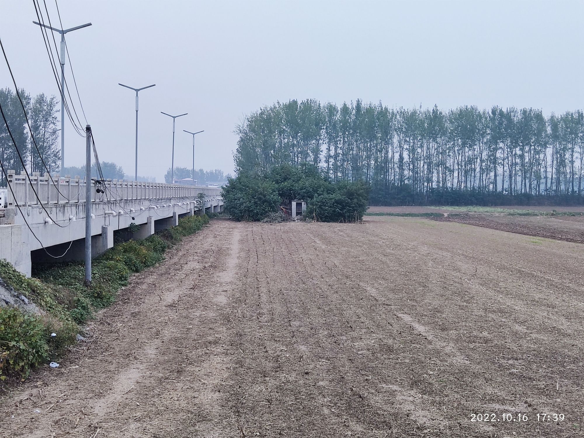 罗成坟旅行图片 1