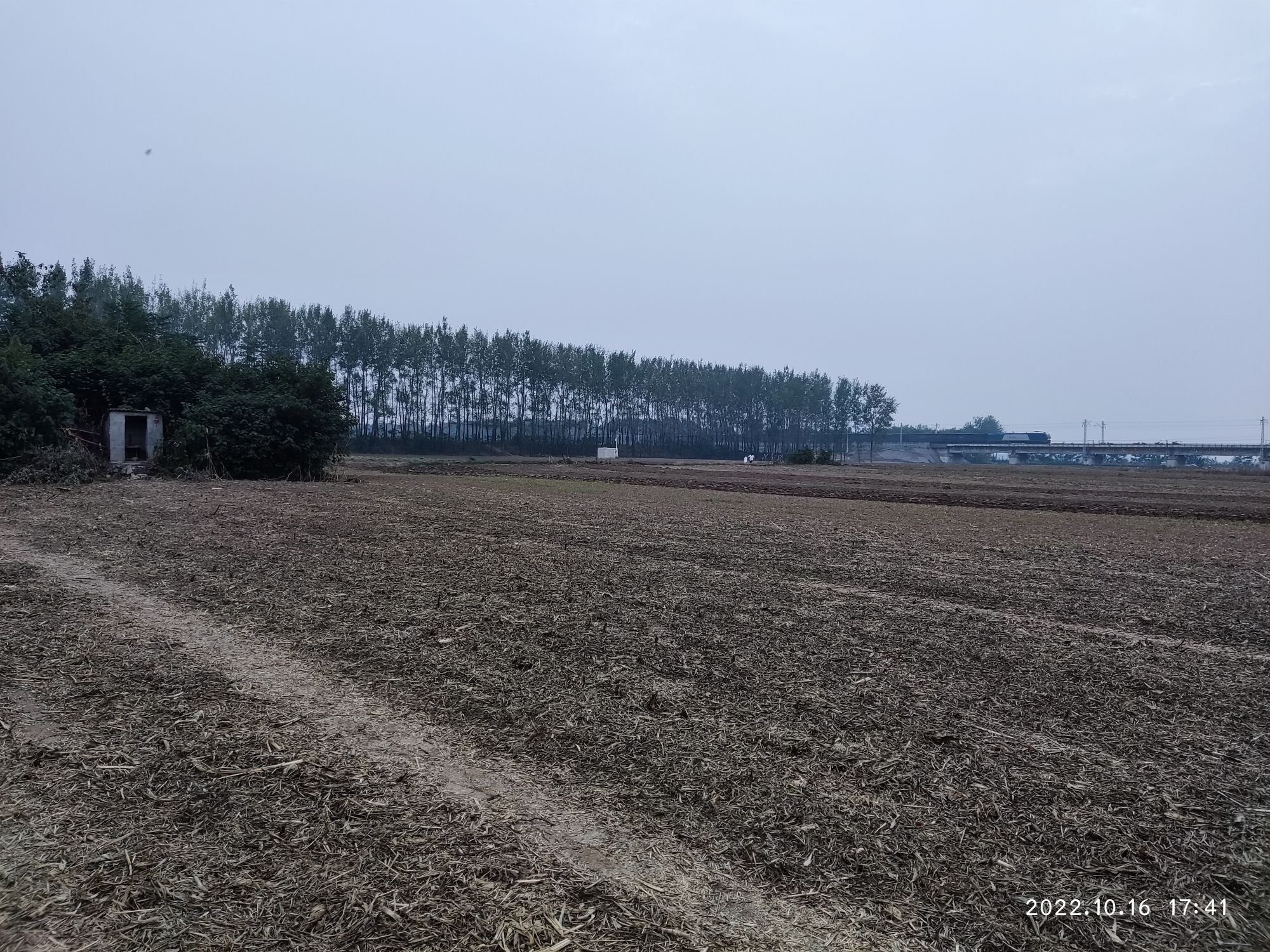 罗成坟旅行图片 2