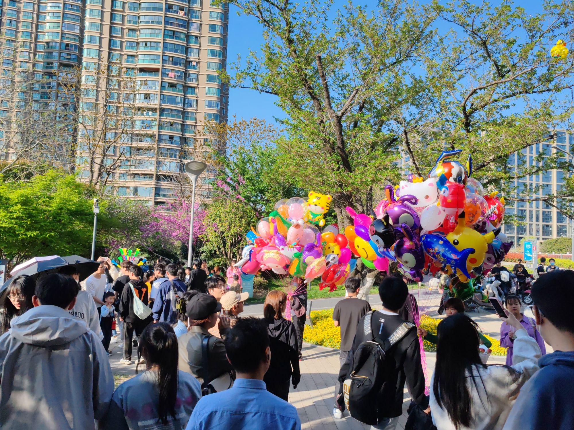 樱花公园旅行图片 1