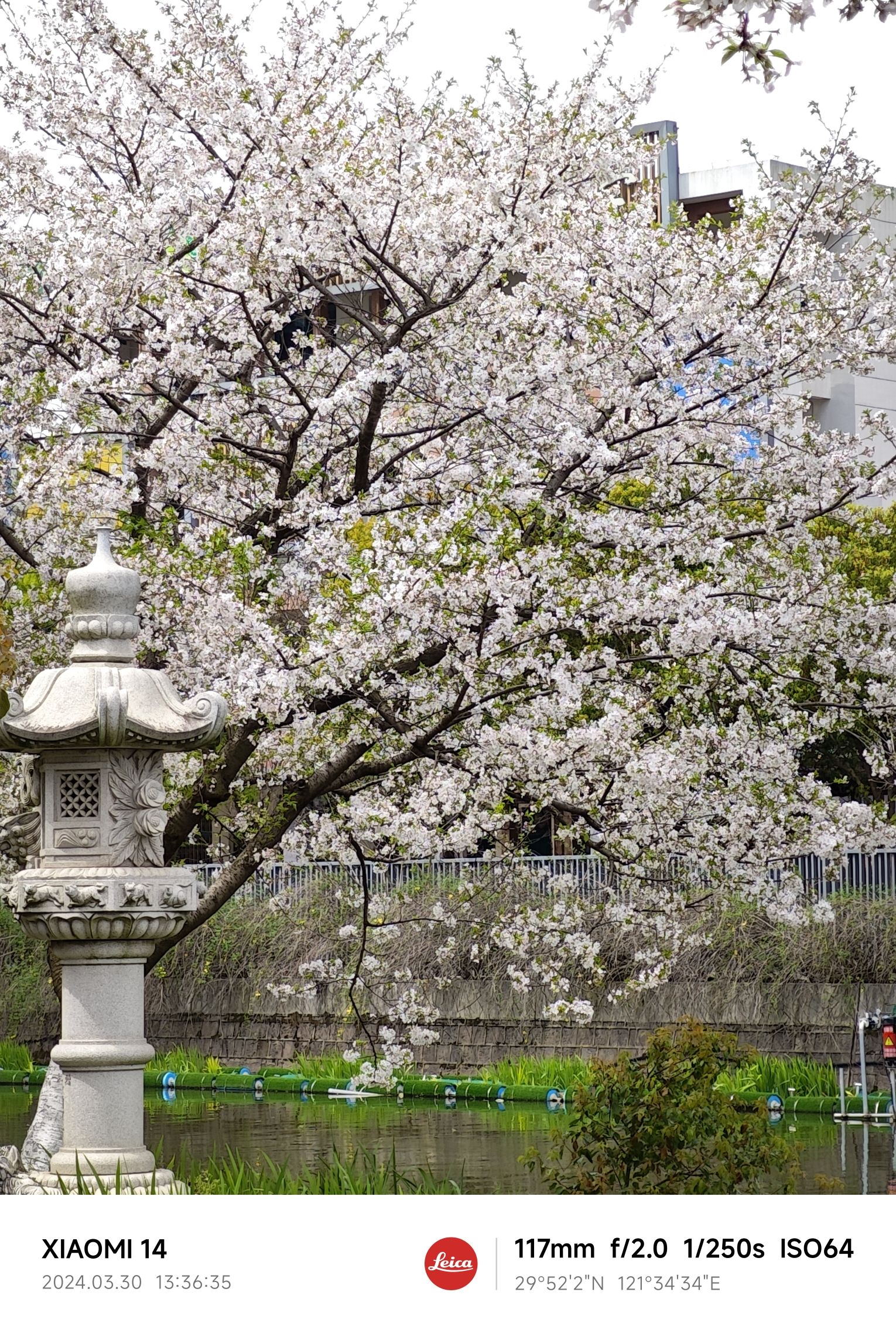 樱花公园旅行图片 1