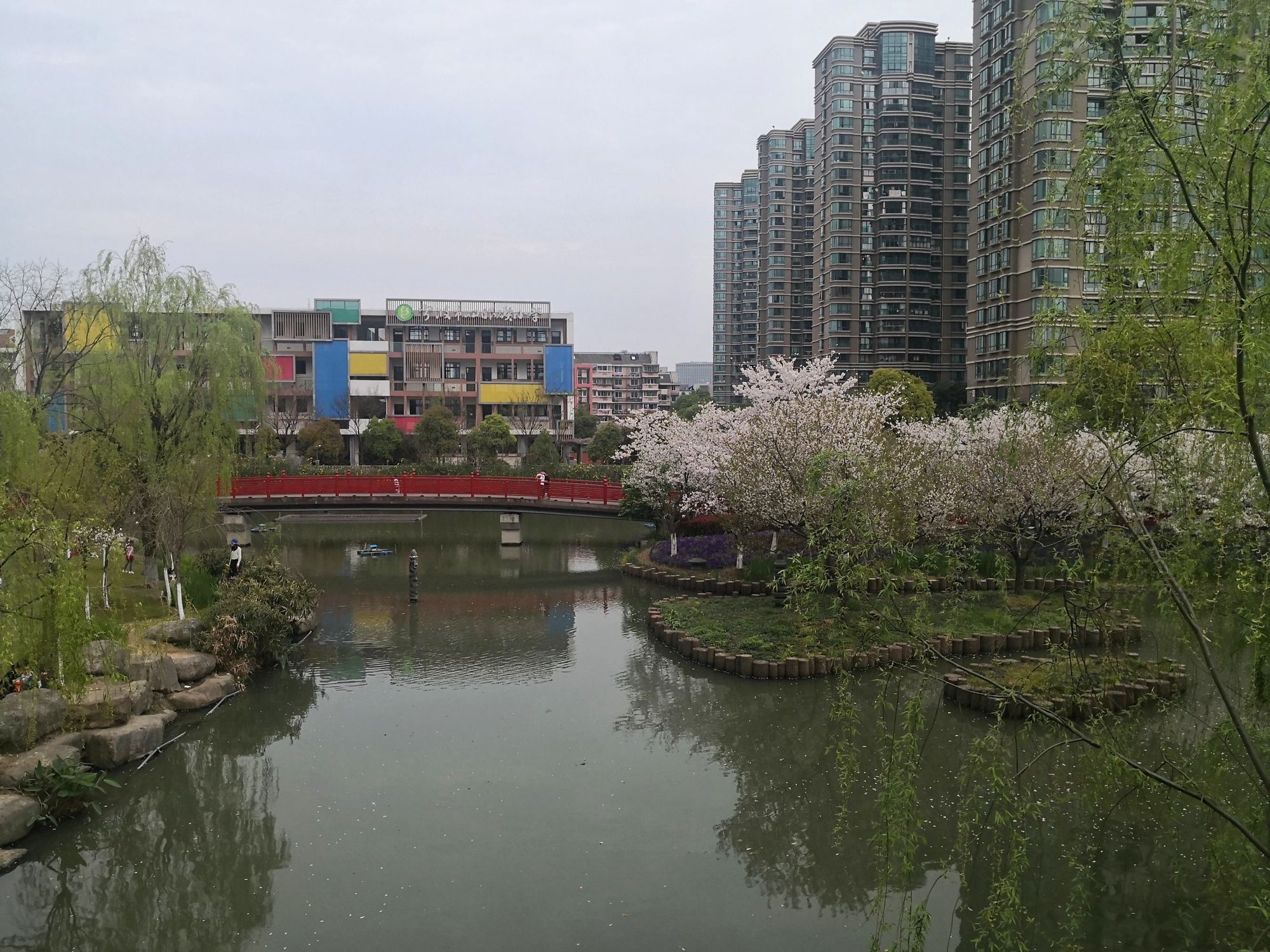 樱花公园旅行图片 3