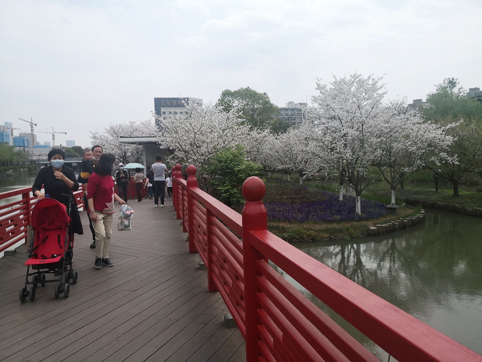 樱花公园旅行图片 2