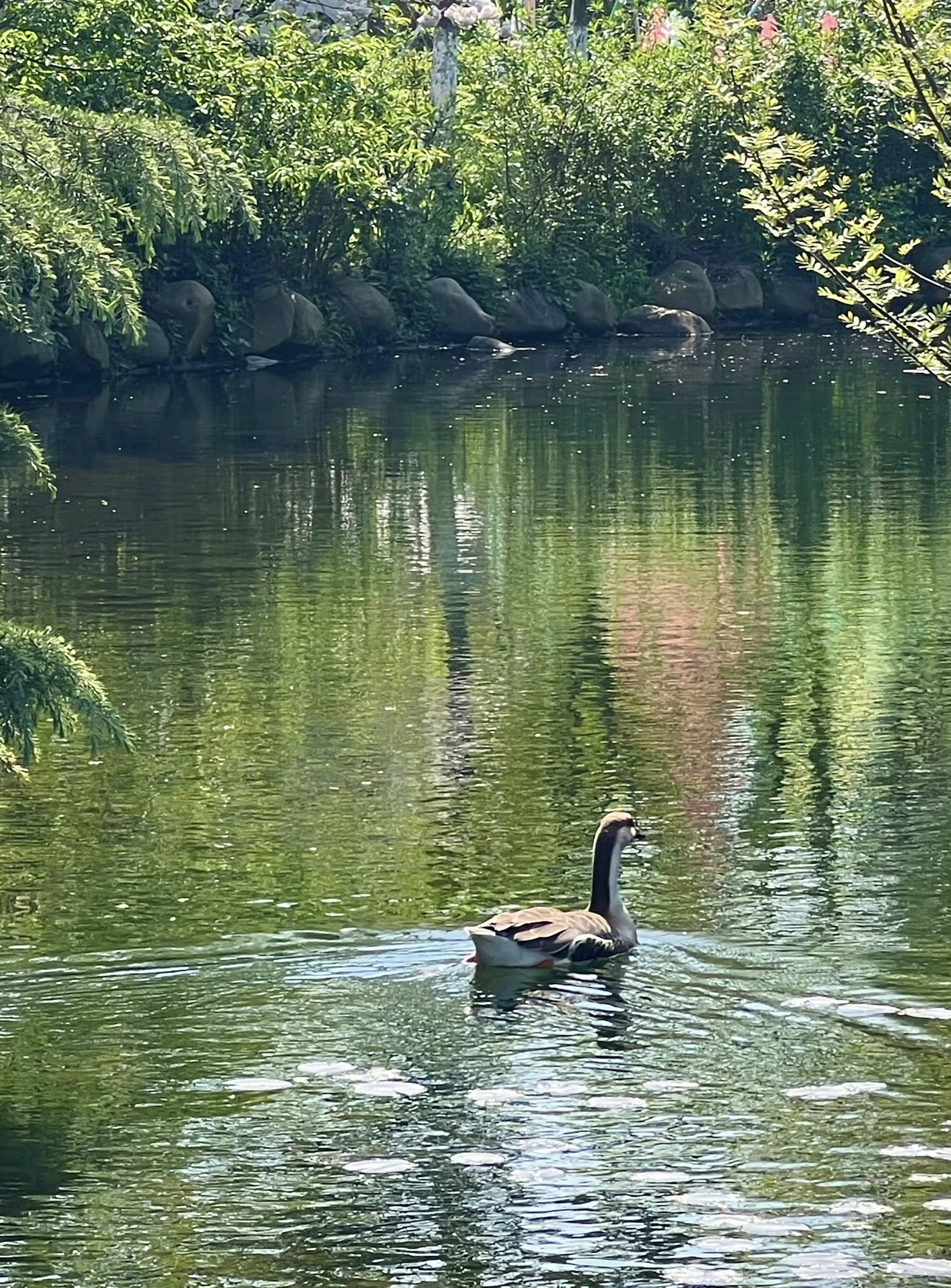 白马涧龙池风景区旅行图片 3