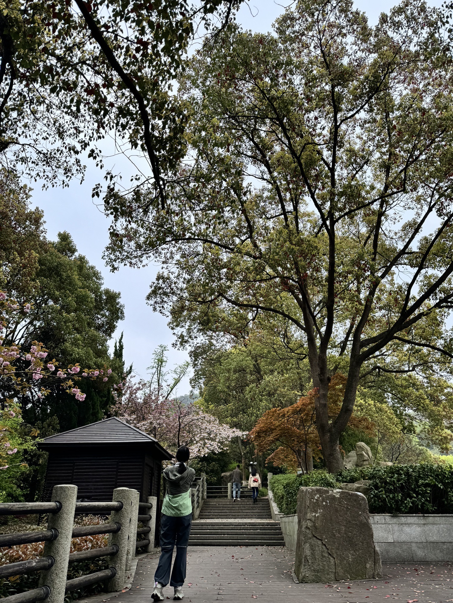 白马涧龙池风景区旅行图片 2