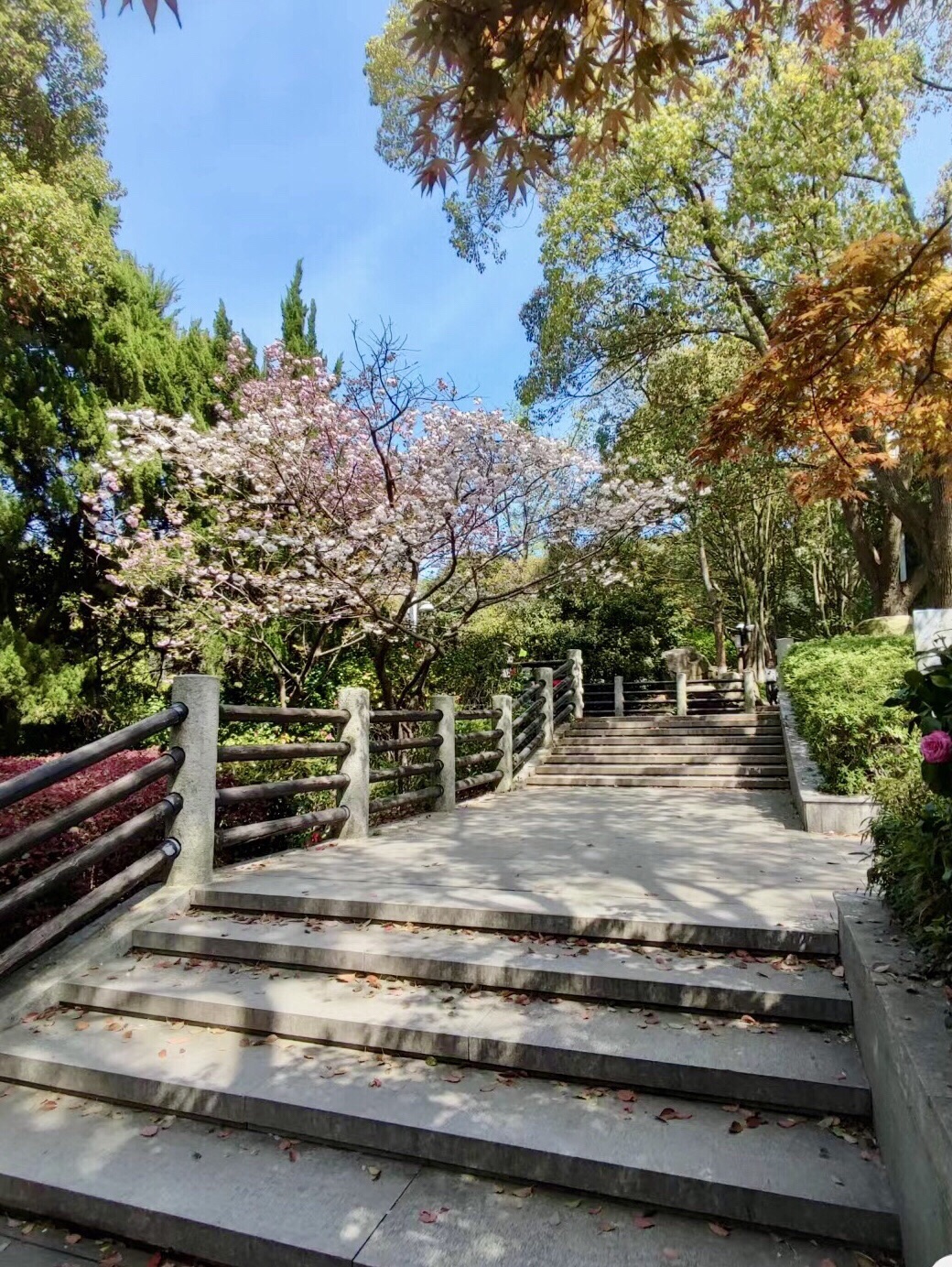 白马涧龙池风景区旅行图片 1