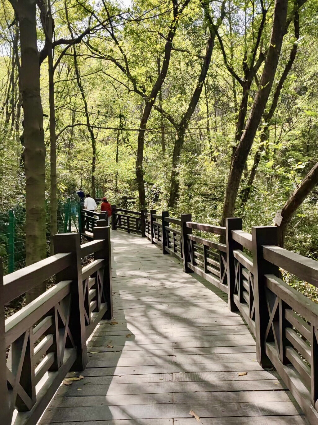 白马涧龙池风景区旅行图片 2
