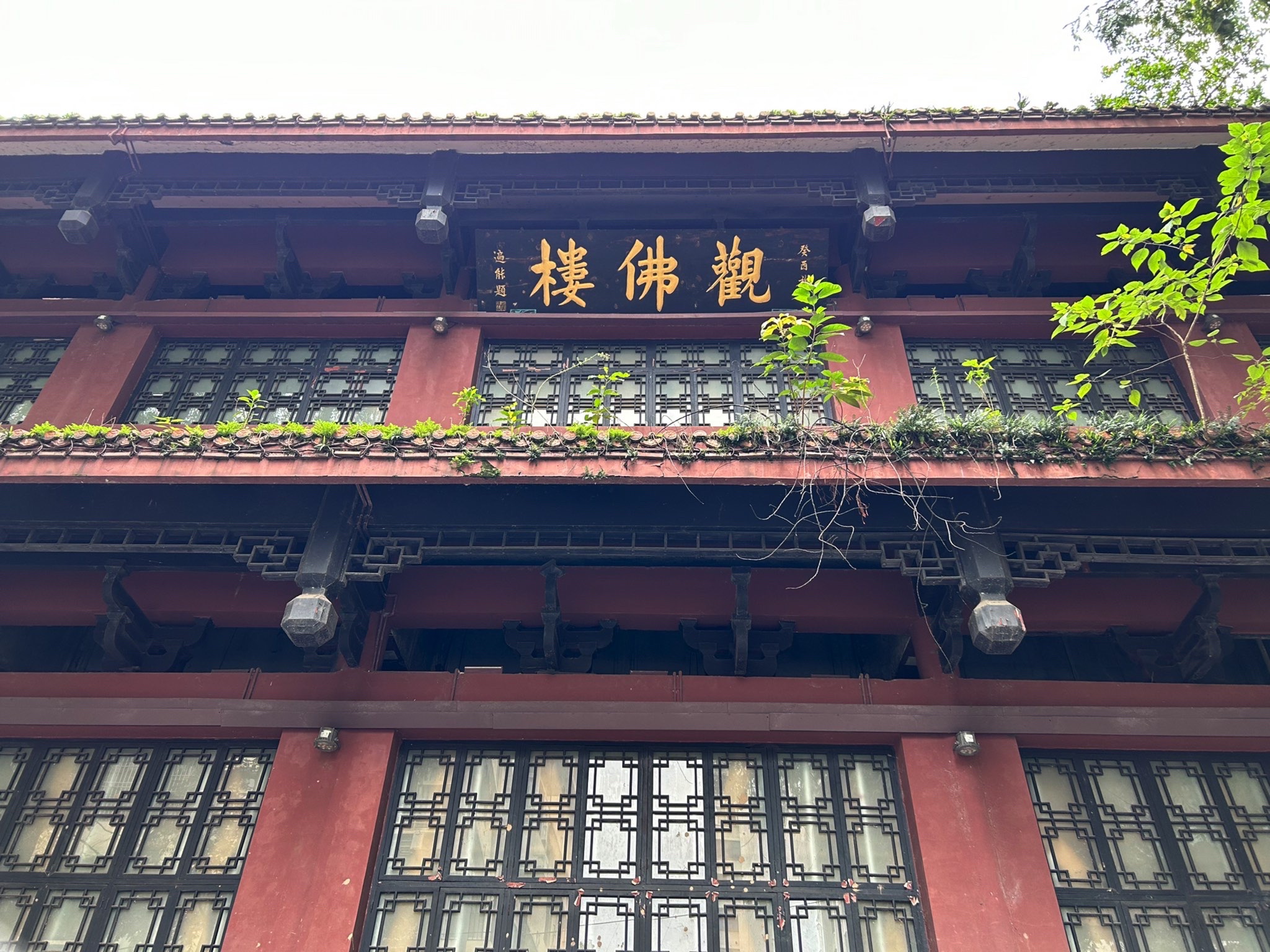 观佛楼旅行图片 1