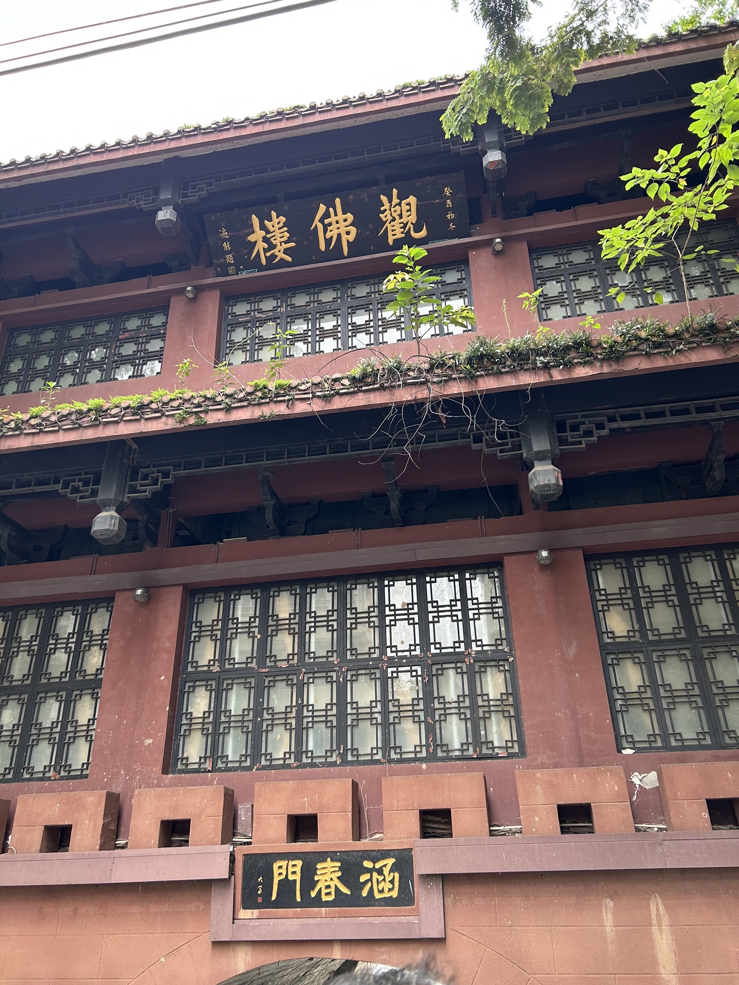观佛楼旅行图片 2