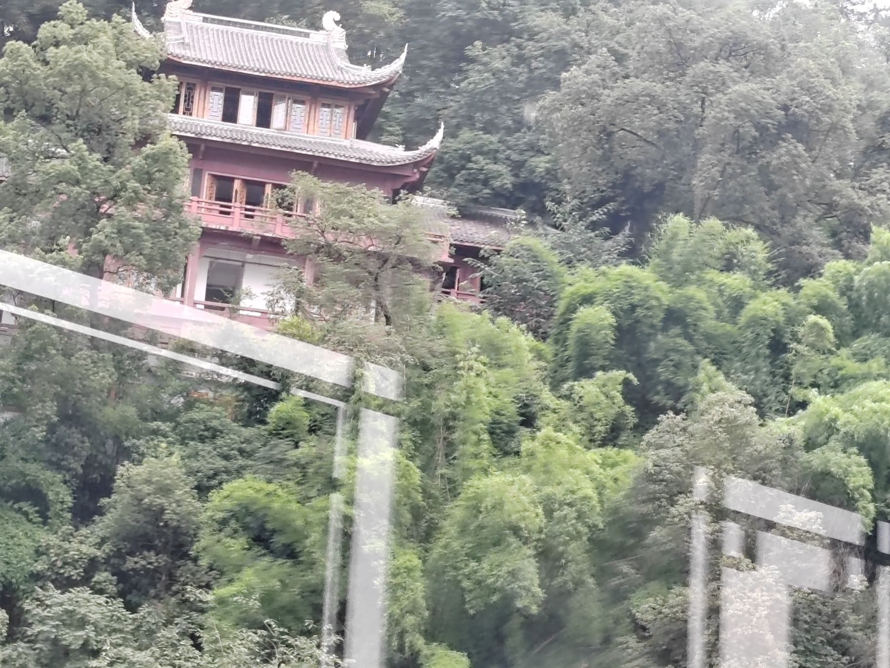 观佛楼旅行图片 3