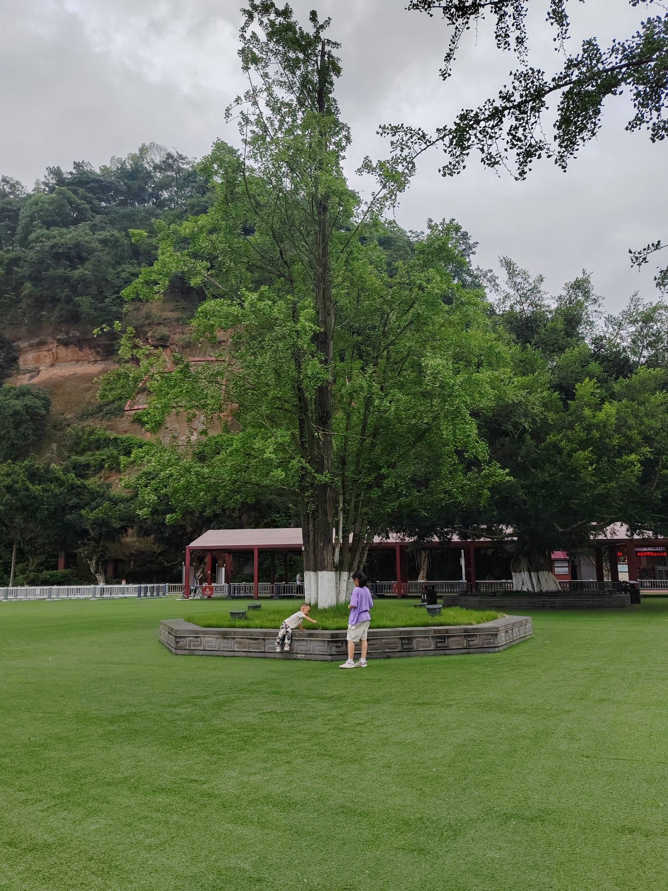 观佛楼旅行图片 1