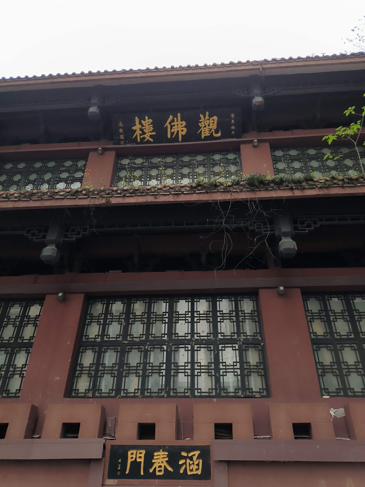 观佛楼旅行图片 1