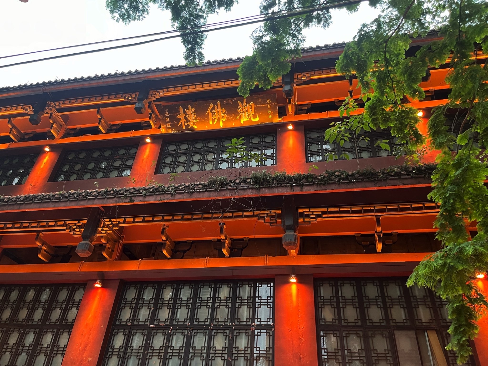 观佛楼旅行图片 1