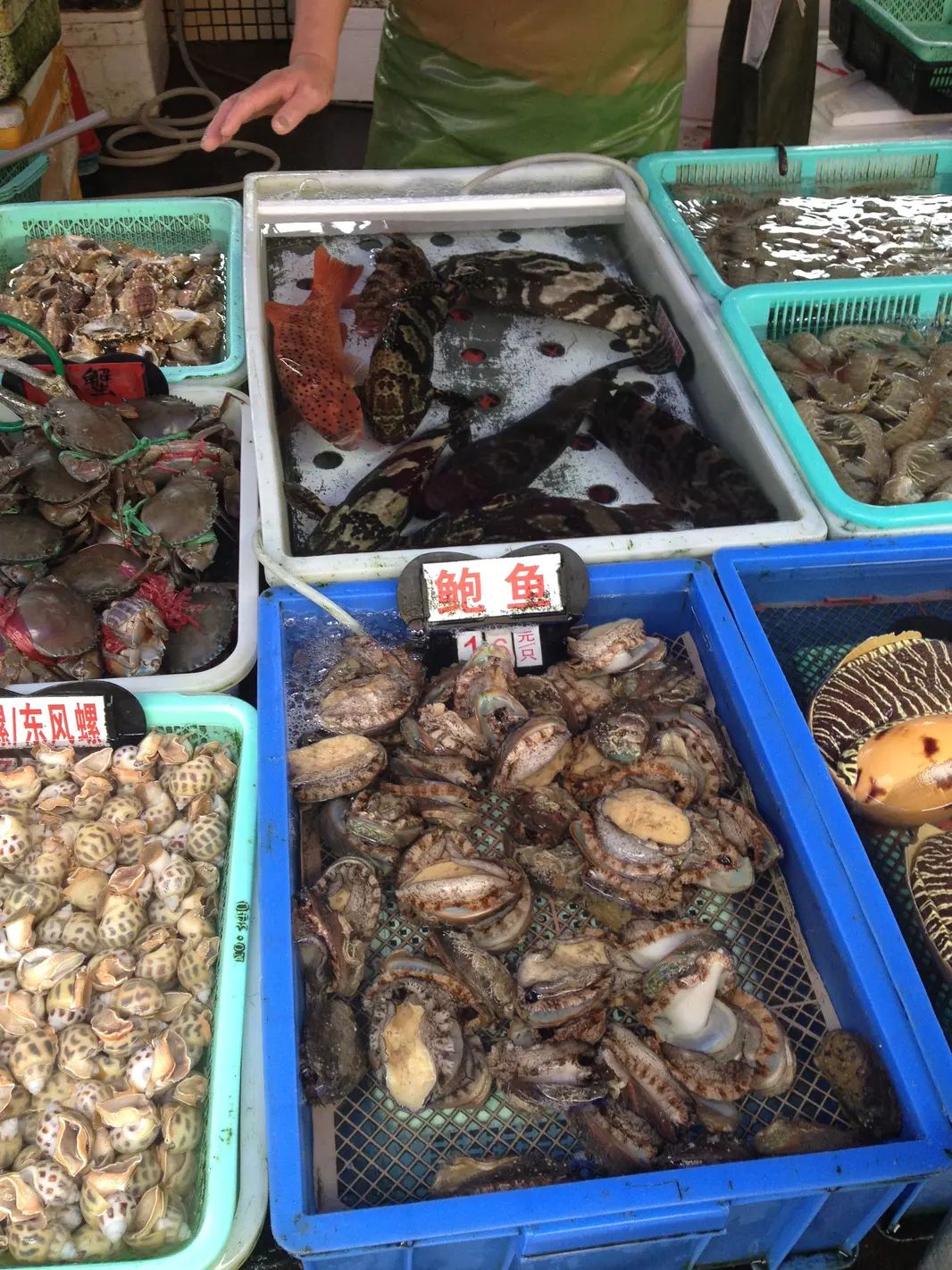 长安海鲜街