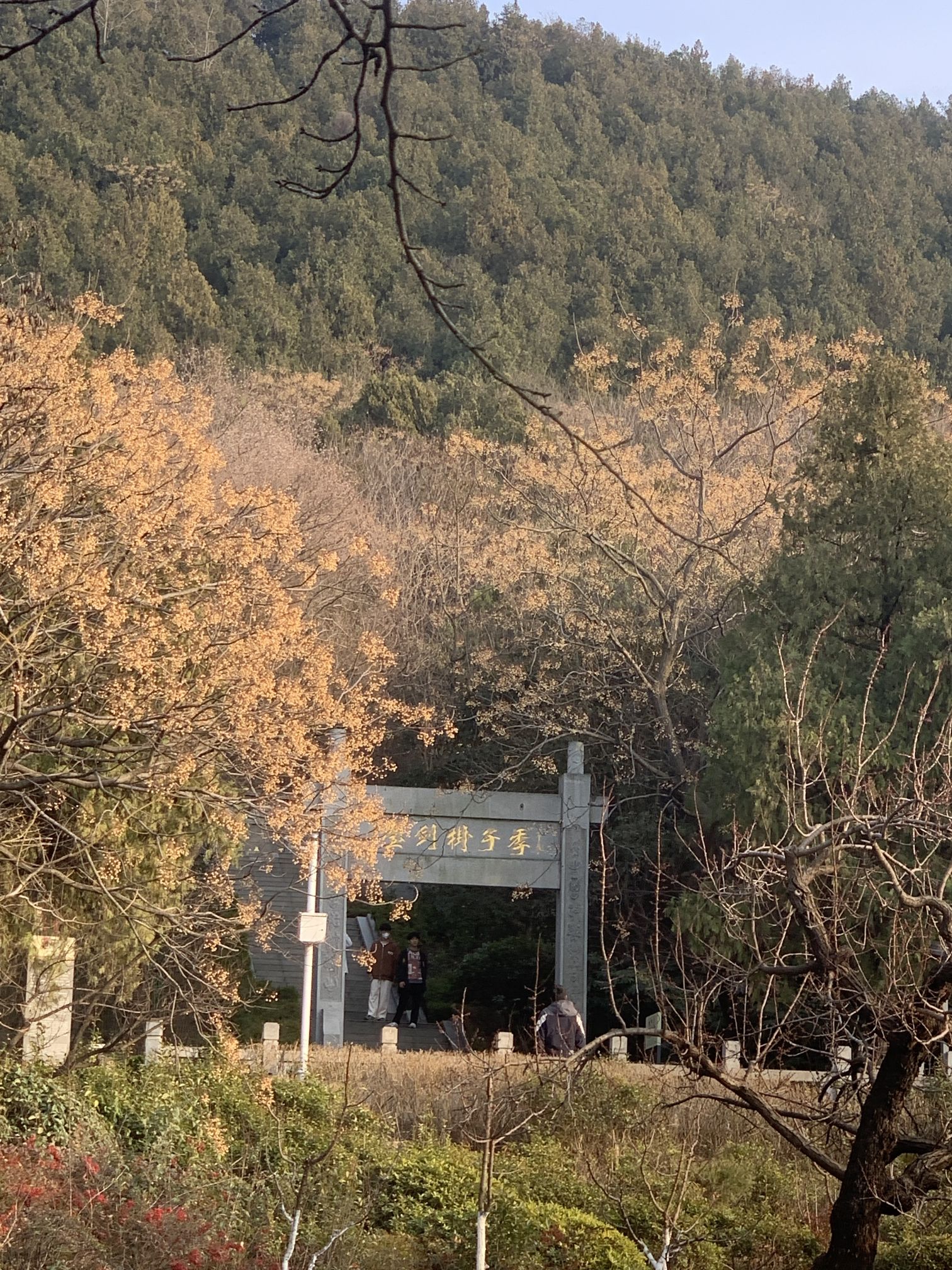 徐州云龙湖旅游景区旅行图片 3