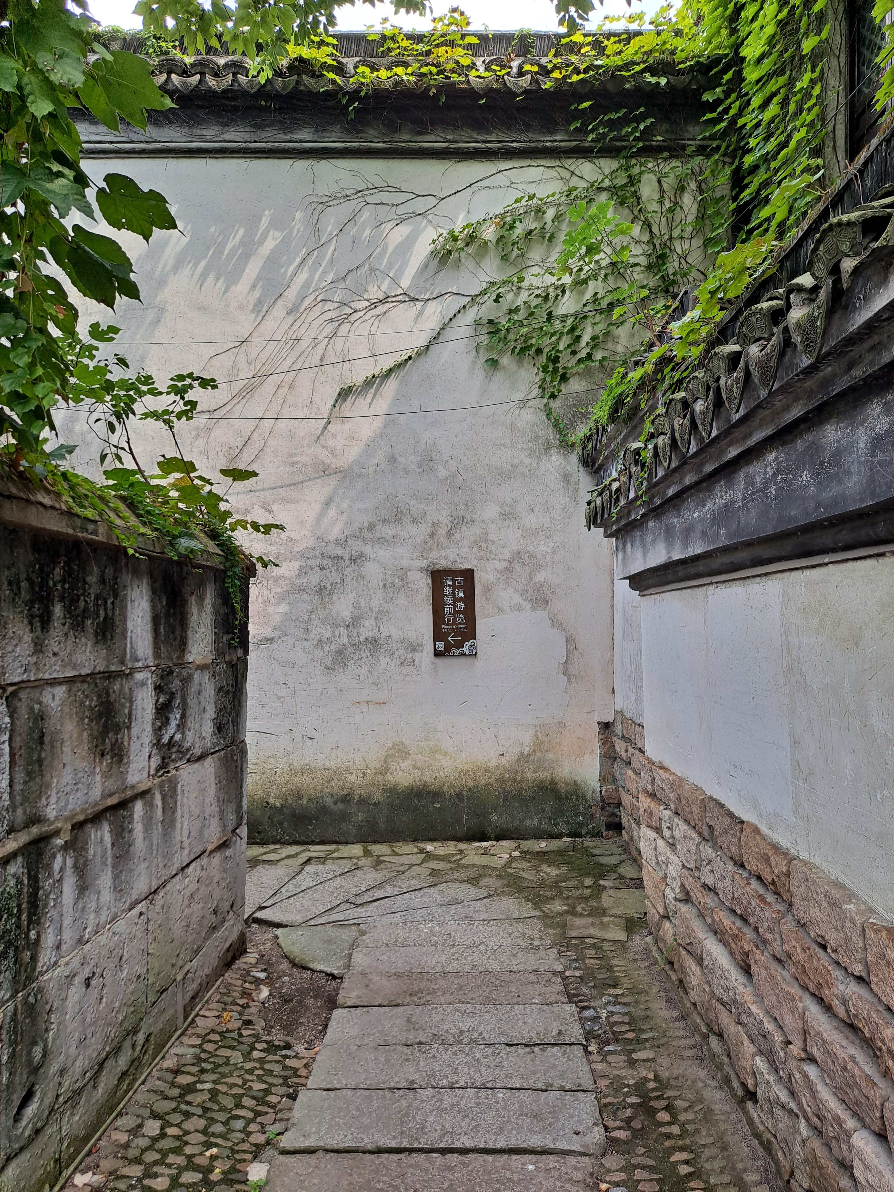 金泽古镇旅行图片 2