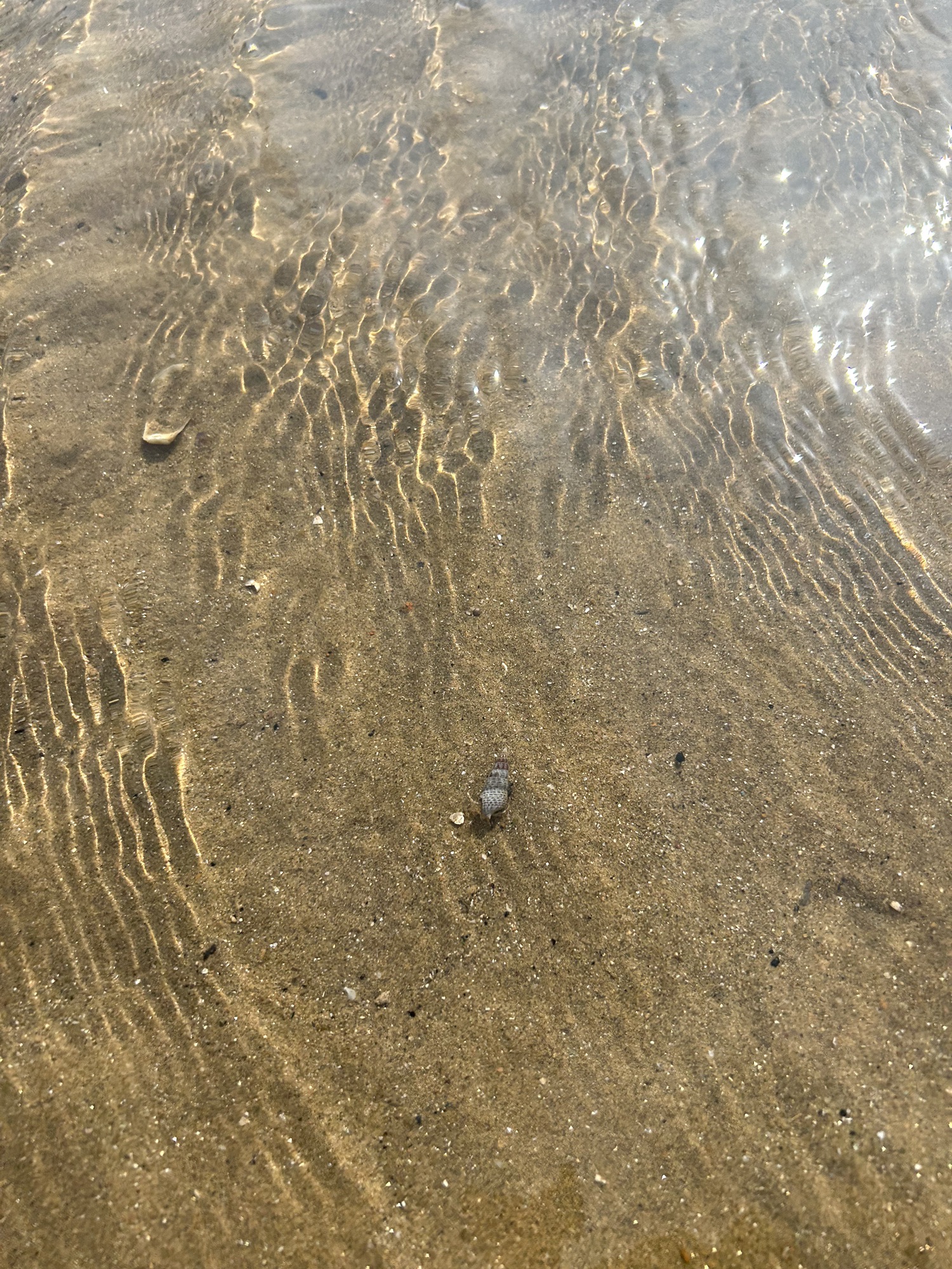 蓬莱阁景区旅行图片 1