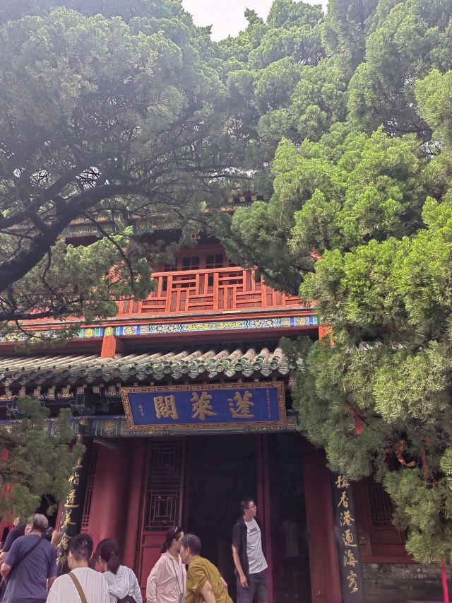 蓬莱阁景区旅行图片 1