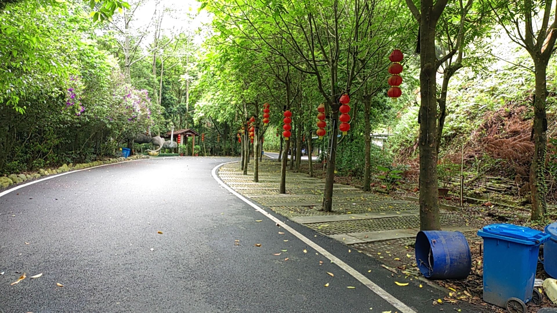 森态源休闲山庄