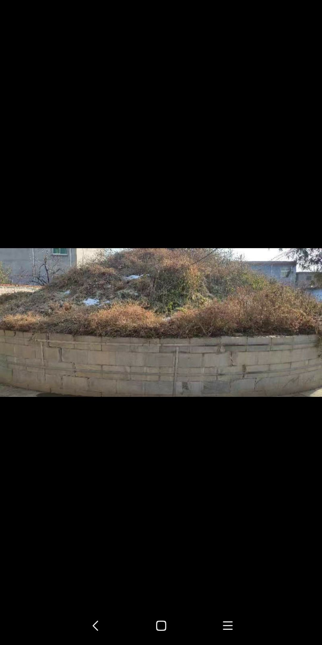 樊哙墓旅行图片 3