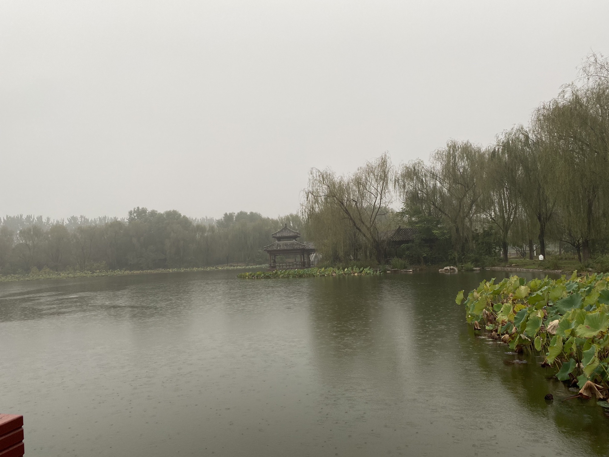 津北森林公园旅行图片 1