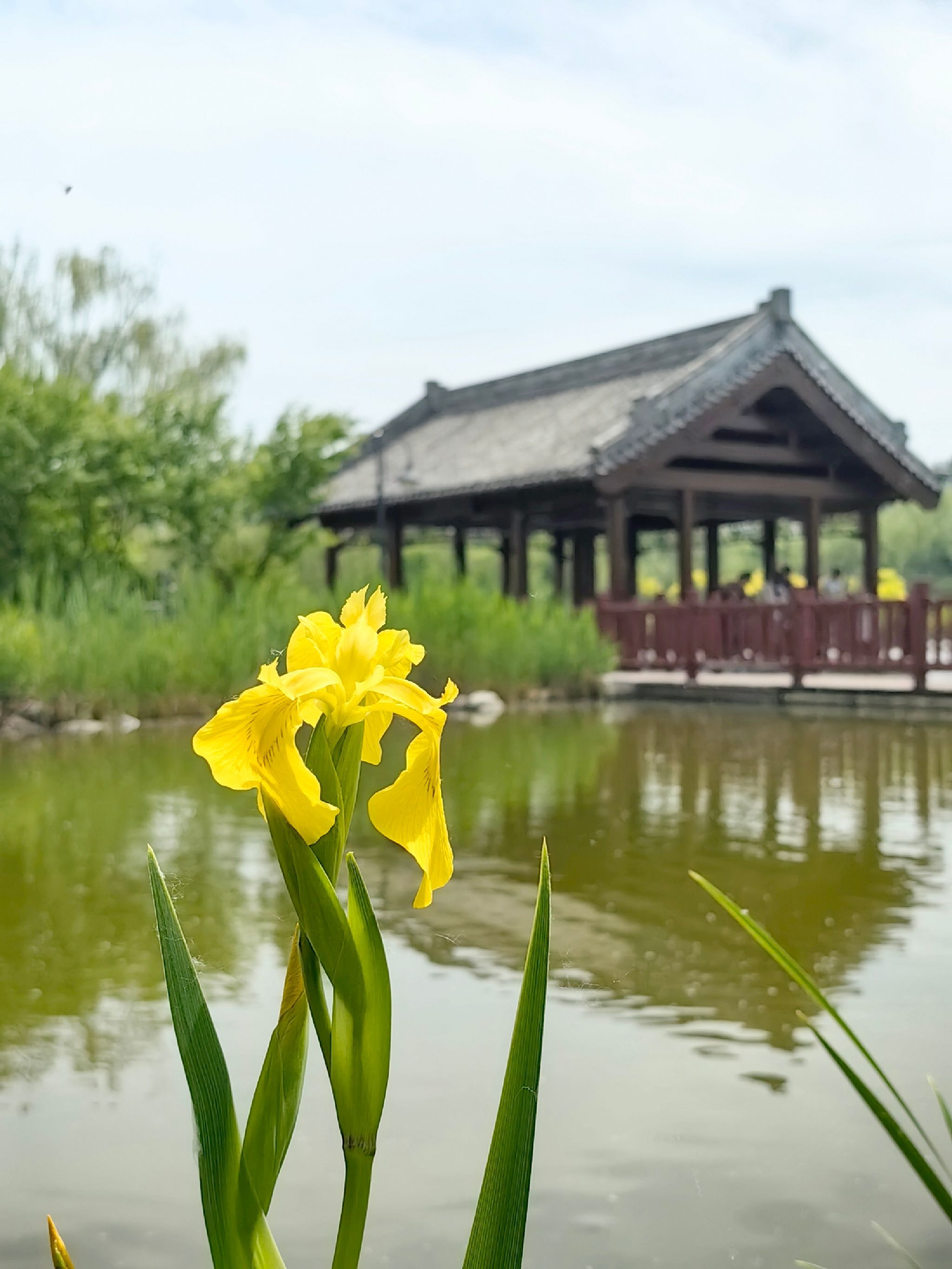 津北森林公园旅行图片 1