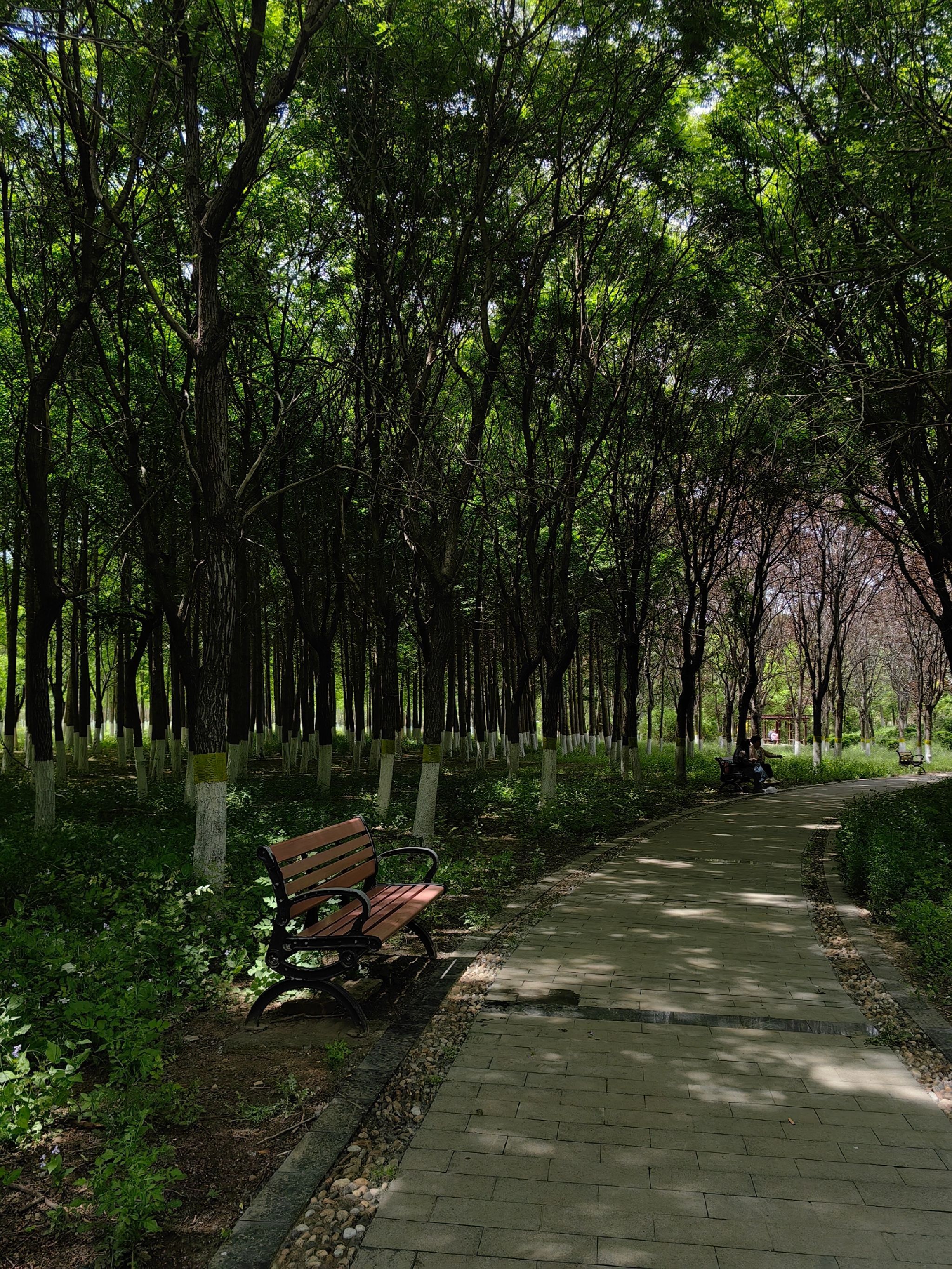 津北森林公园旅行图片 3