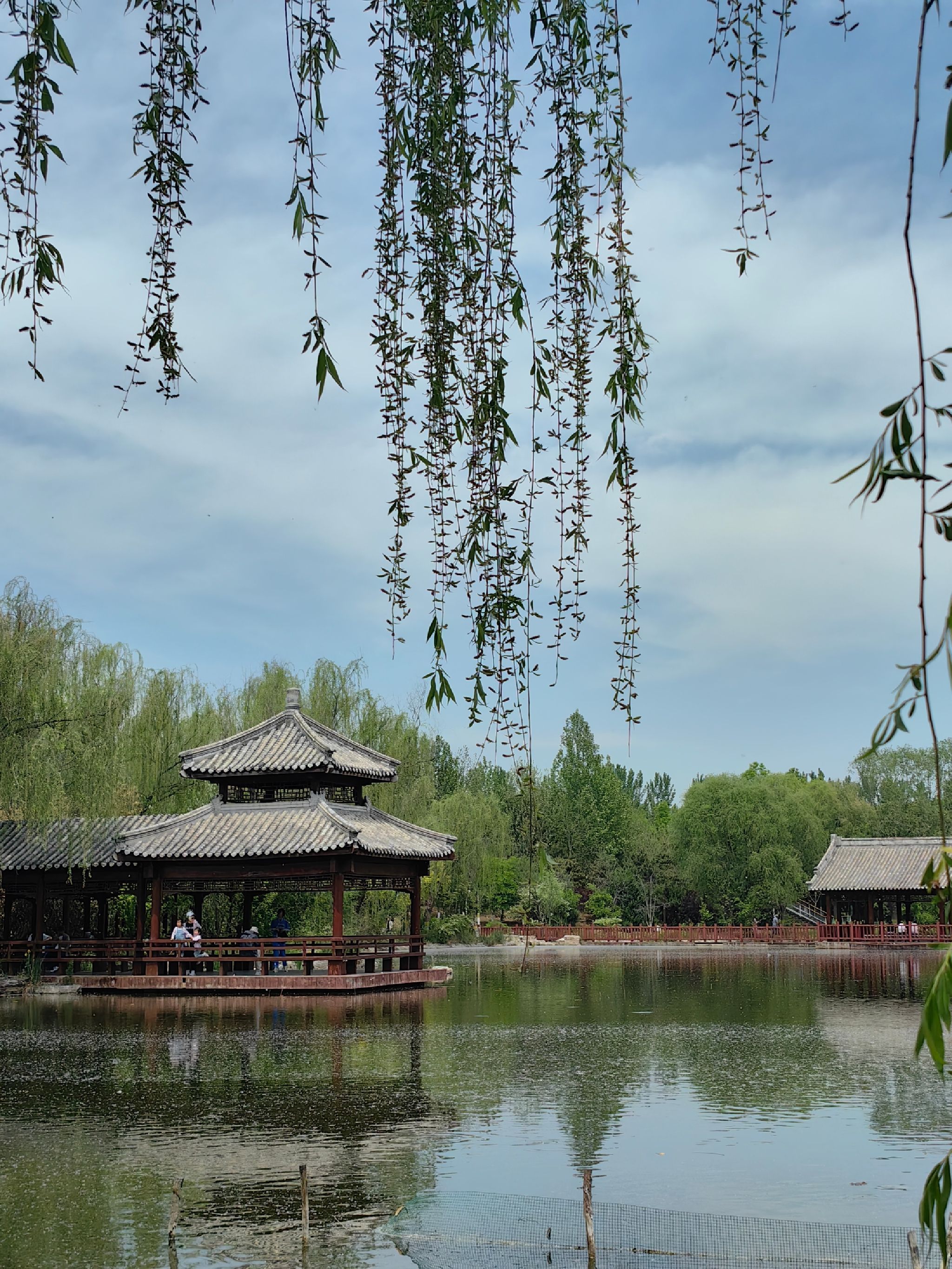 津北森林公园旅行图片 2
