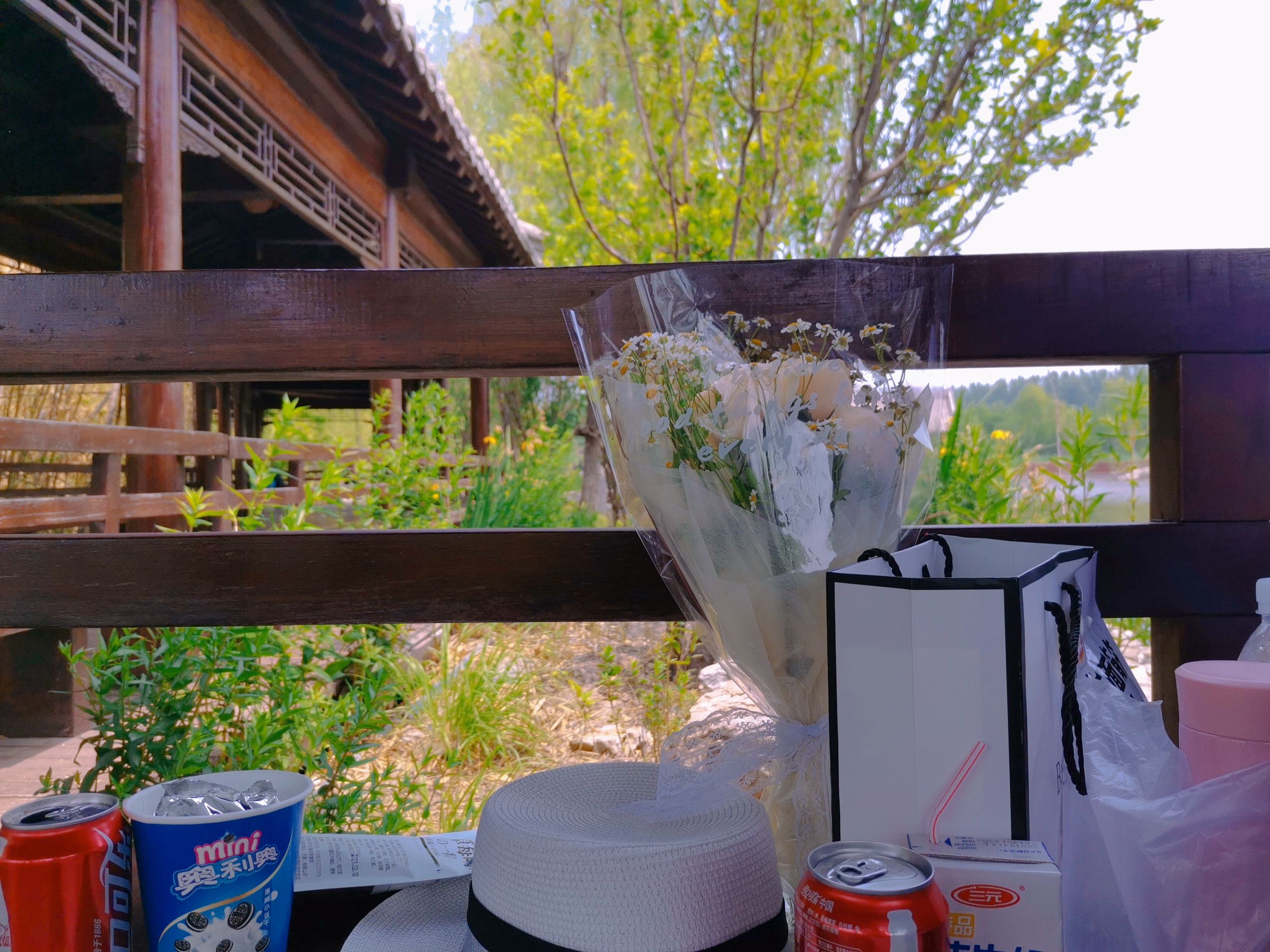 津北森林公园旅行图片 3