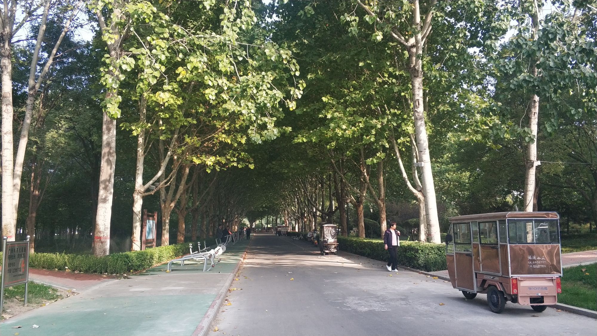 东区市民文化广场旅行图片 1
