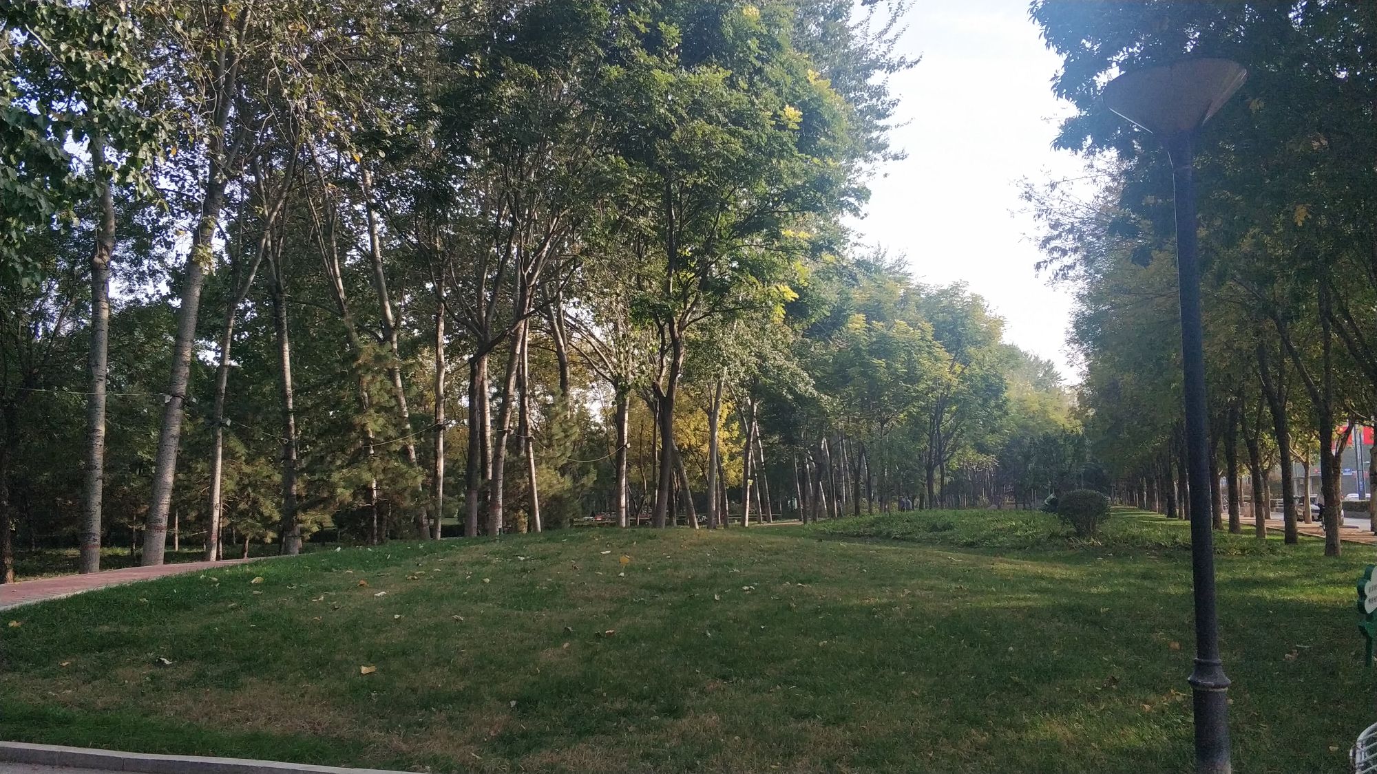 东区市民文化广场旅行图片 2