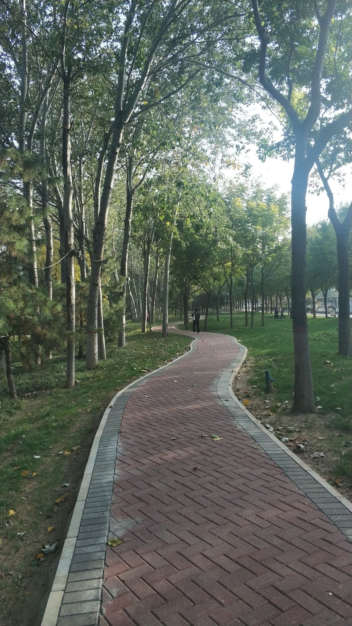 东区市民文化广场旅行图片 3