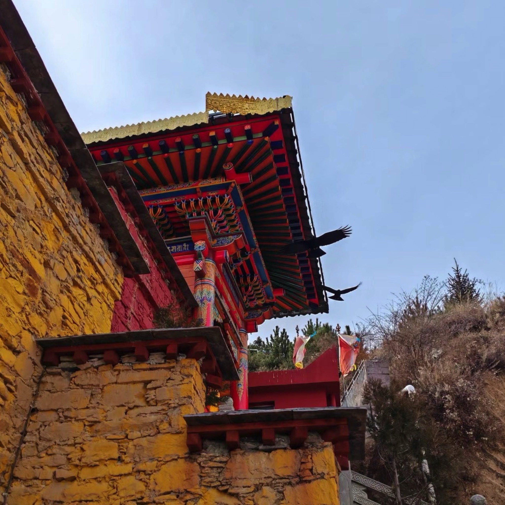 金川观音桥景区旅行图片 3