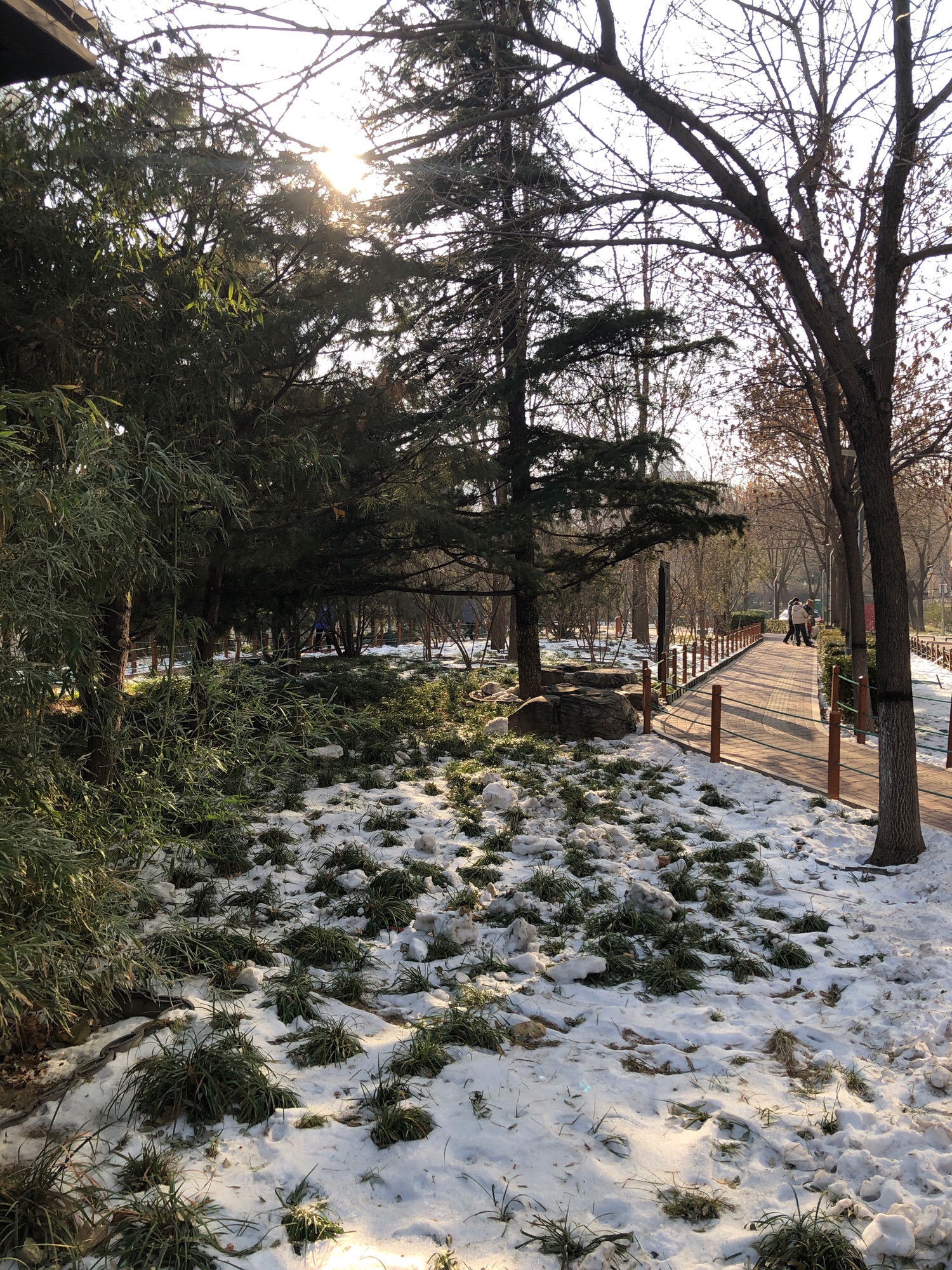 莲花河城市休闲公园旅行图片 2