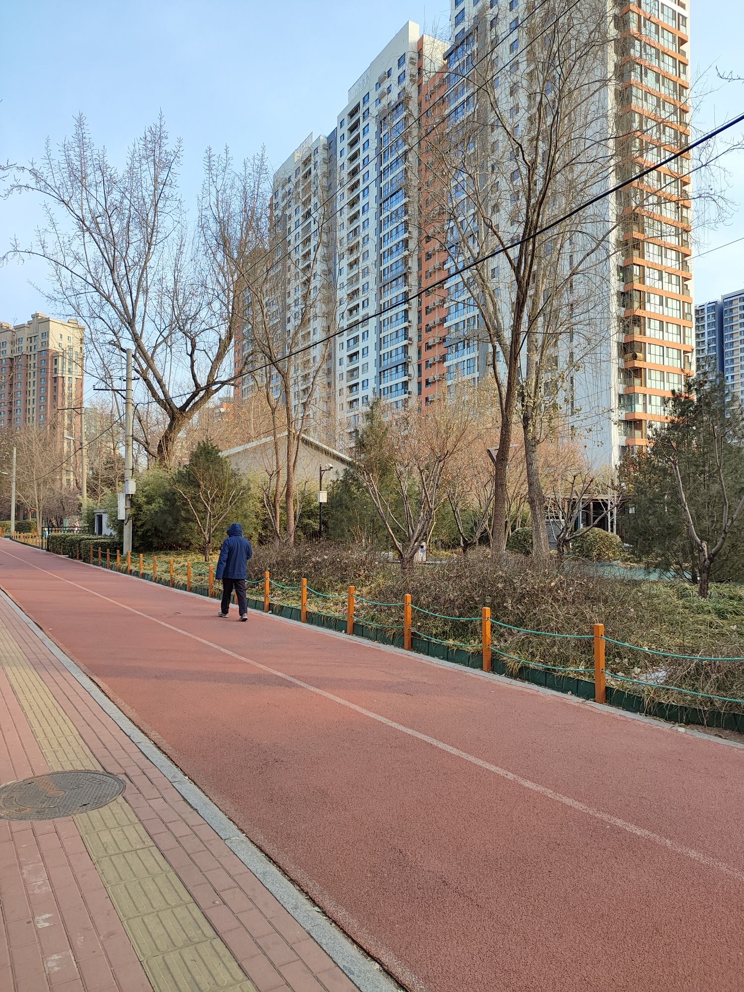 莲花河城市休闲公园旅行图片 2