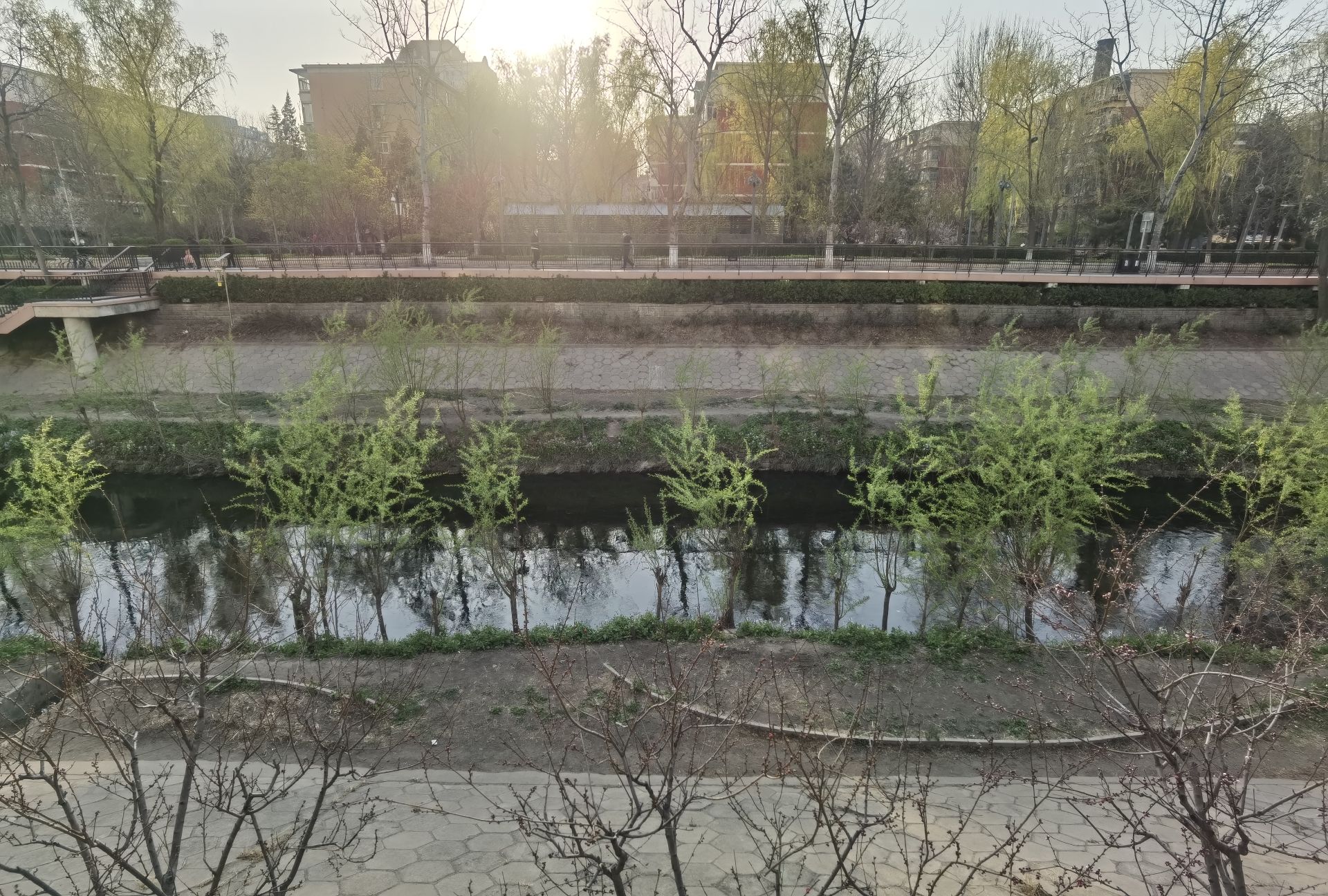 莲花河城市休闲公园旅行图片 2