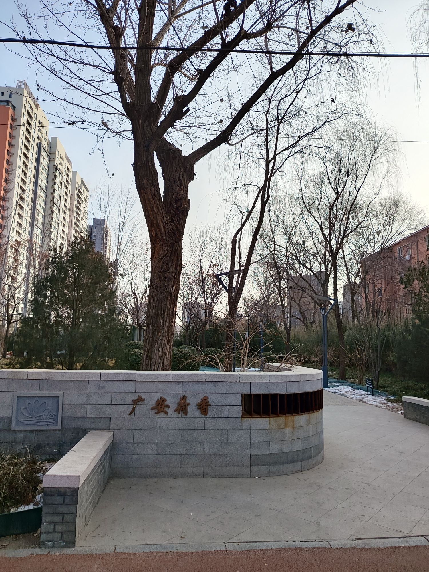 莲花河城市休闲公园旅行图片 3