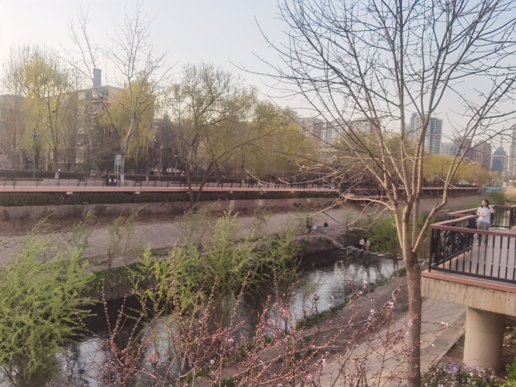 莲花河城市休闲公园旅行图片 1