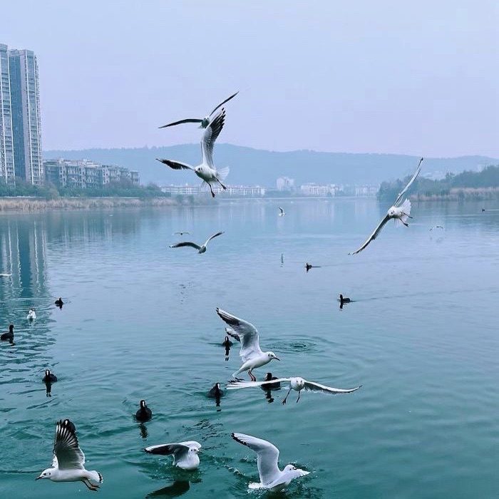 四川绵阳三江湖国家湿地公园旅行图片 1