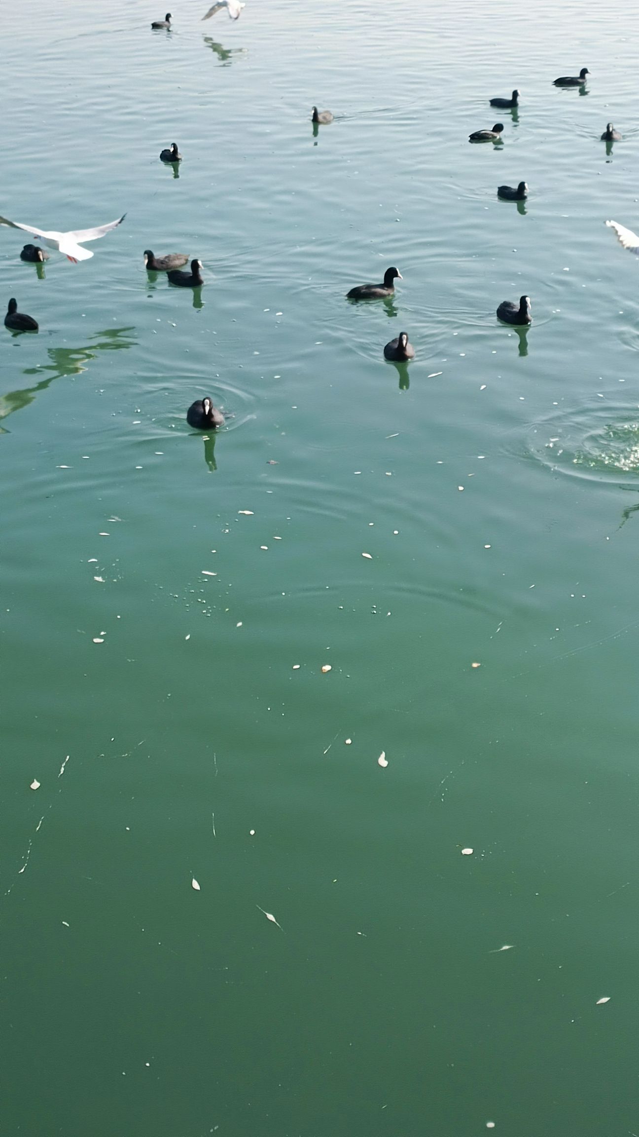 四川绵阳三江湖国家湿地公园旅行图片 3