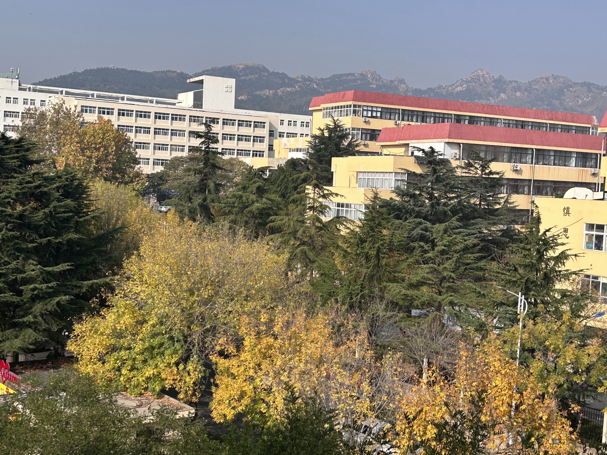 青岛大学(浮山校区)西院