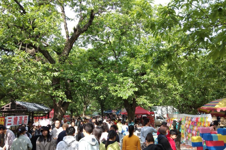 邳州古栗省级森林公园旅行图片 2
