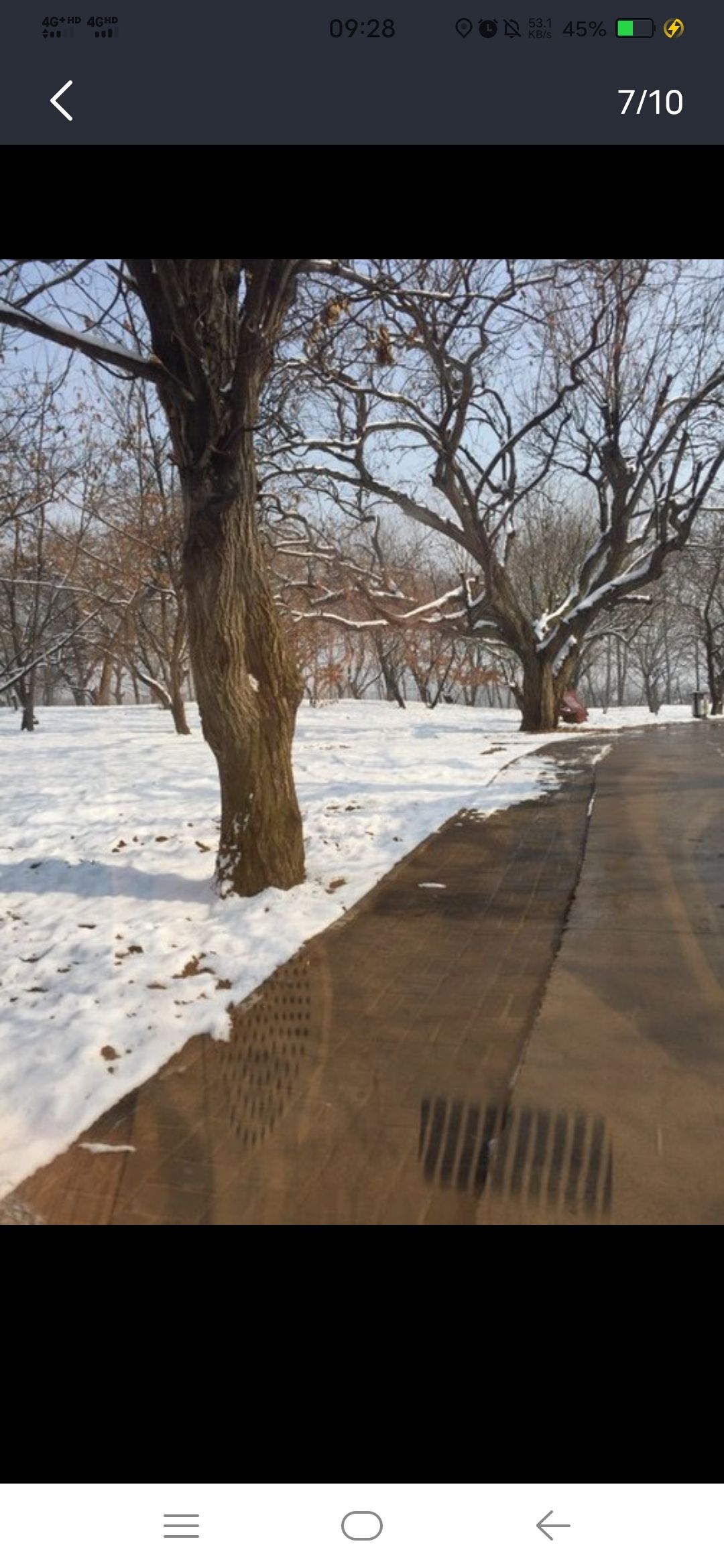 邳州古栗省级森林公园旅行图片 3
