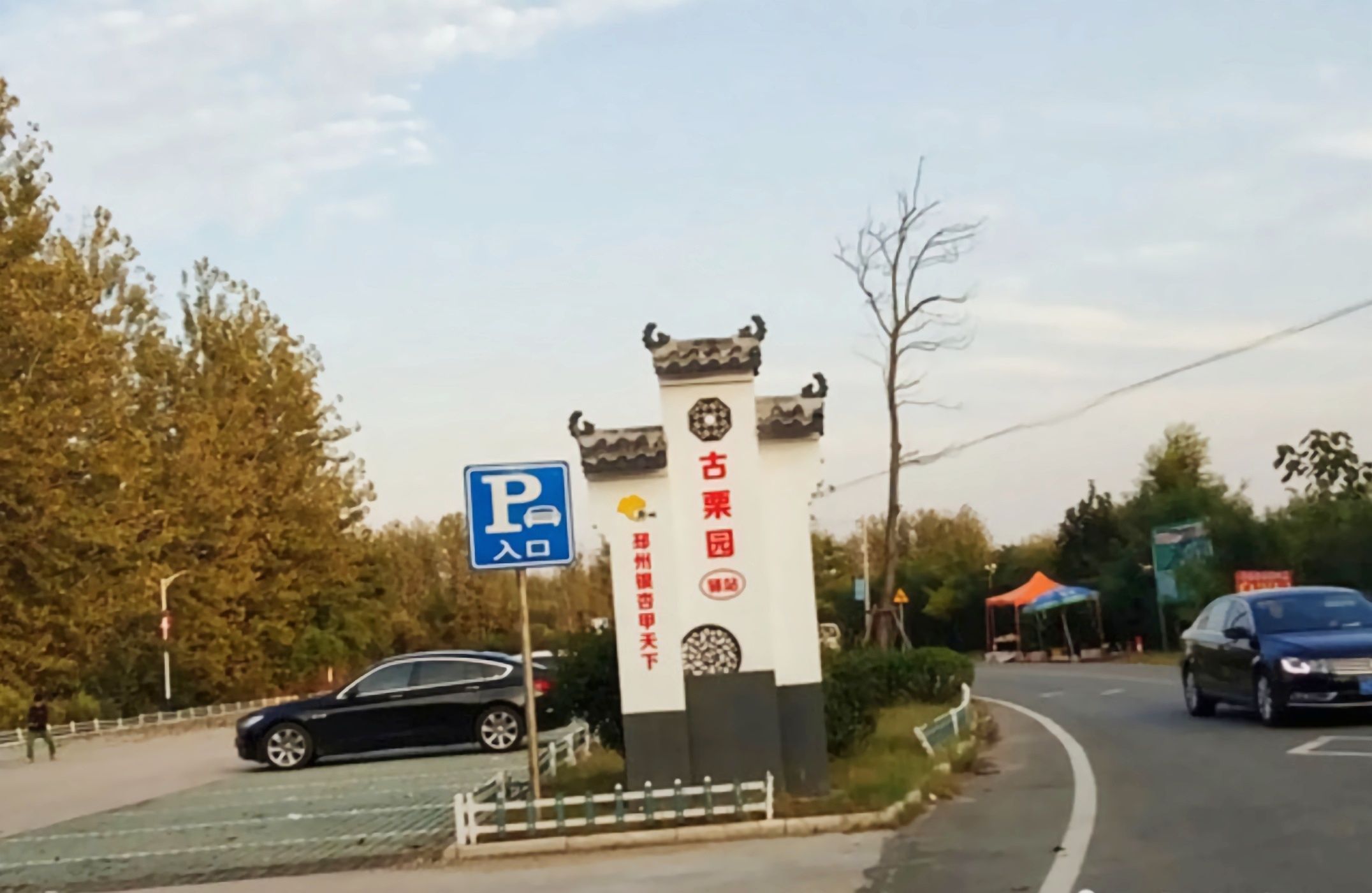 邳州古栗省级森林公园旅行图片 1