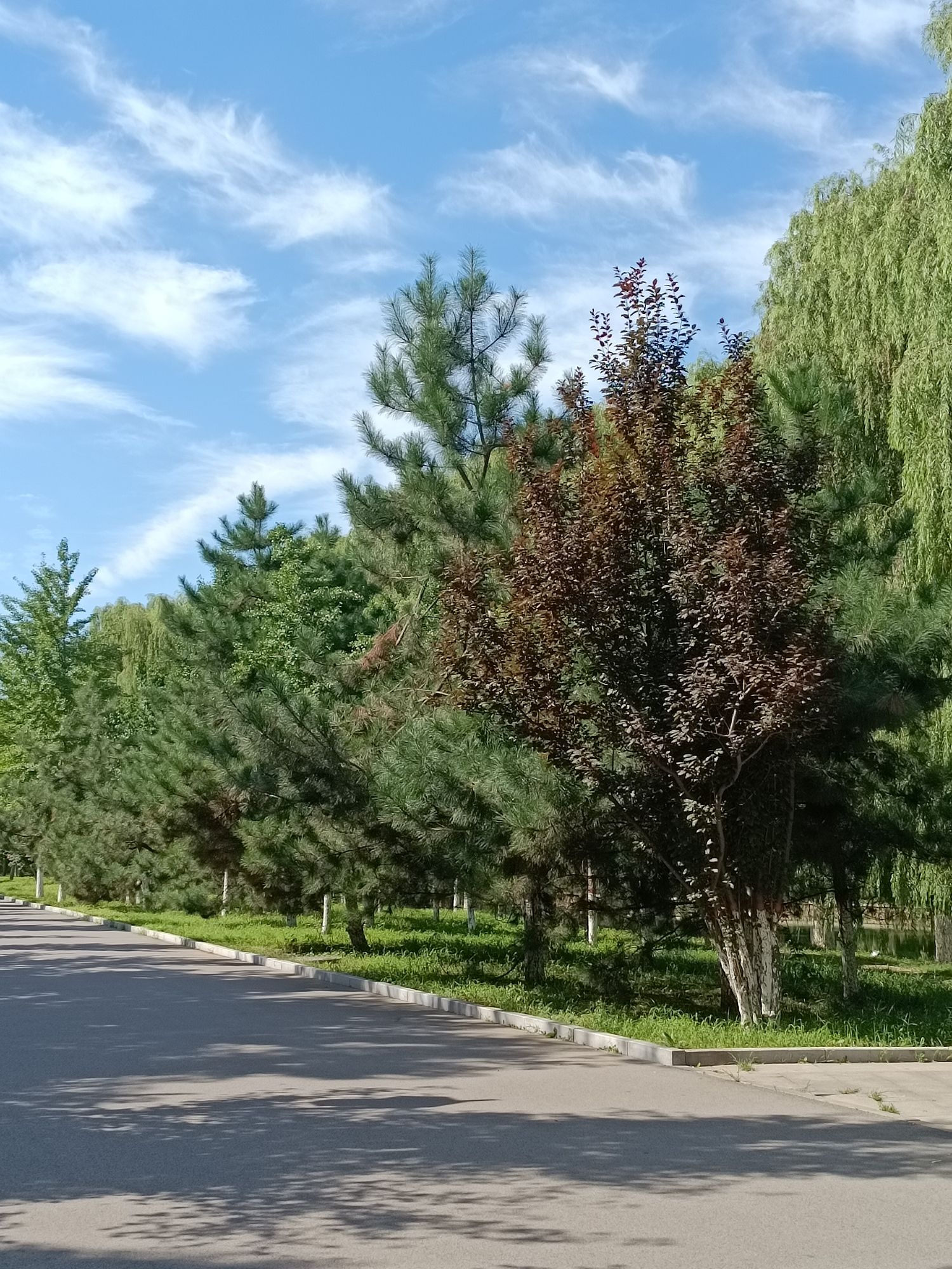 曹雪芹公园旅行图片 3