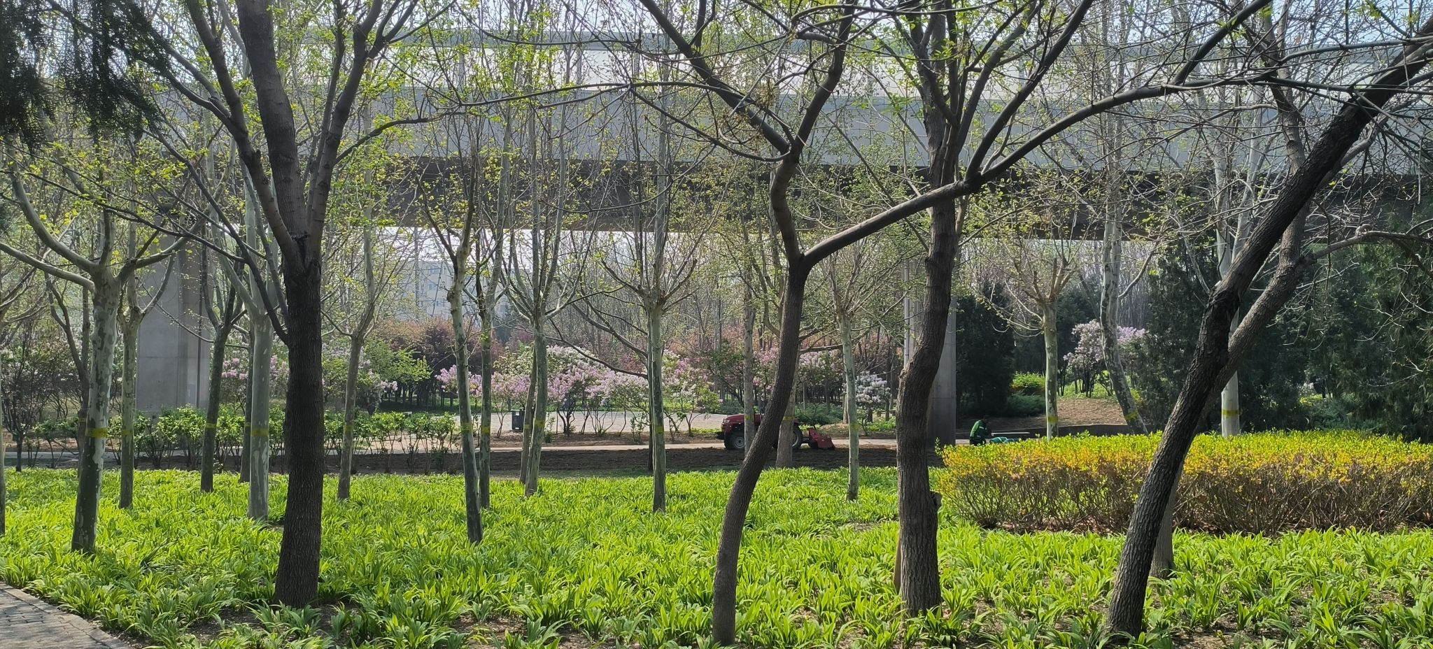 西红门九龙口休闲公园旅行图片 2